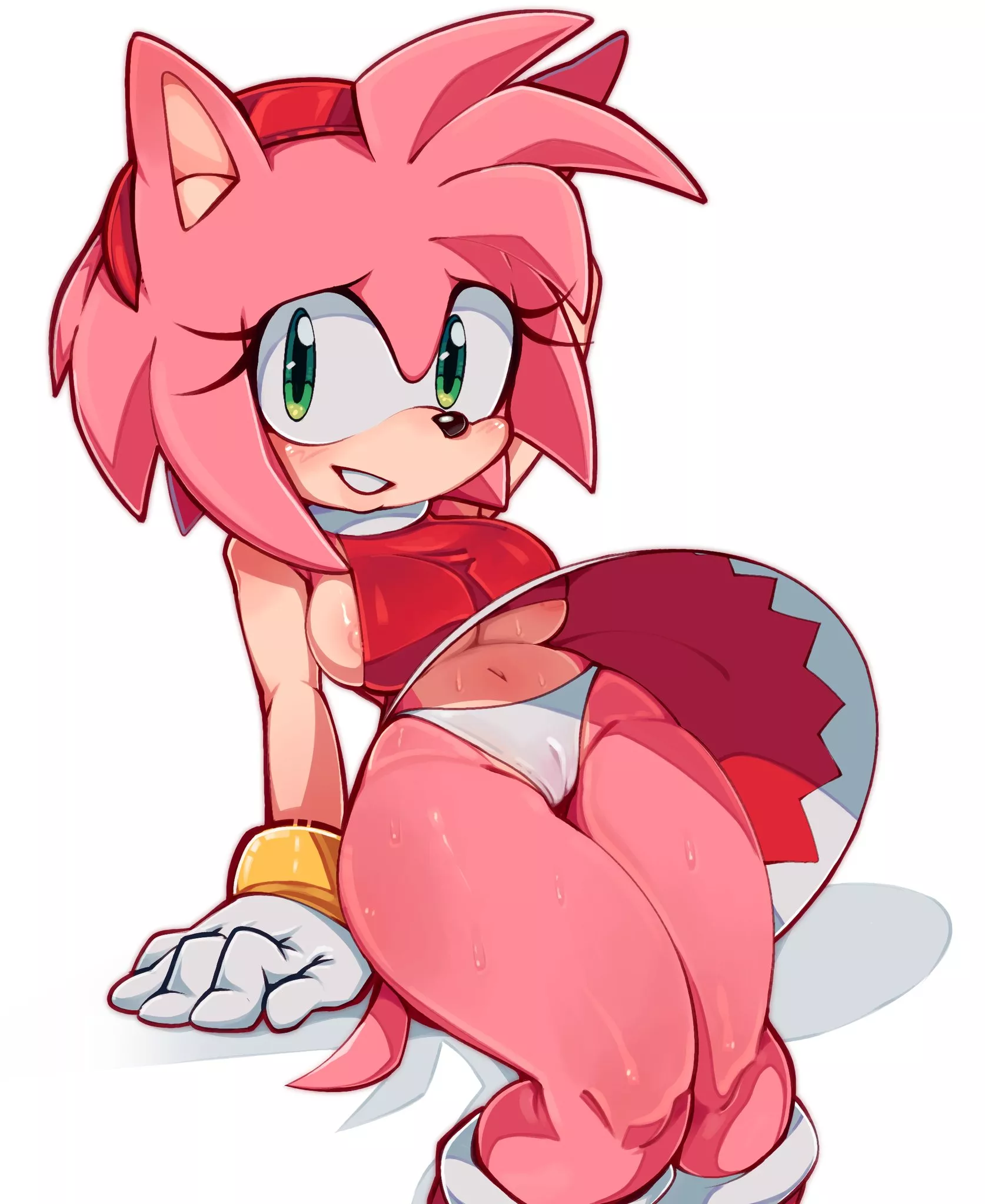 amy rose giving you a pick (ichig8miruku)