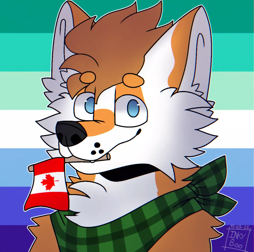 ðŸ³ï¸â€ðŸŒˆ ðŸ‡¨ðŸ‡¦ Another finished icon commission for u/FloofyFolfy ðŸ‡¨ðŸ‡¦ ðŸ³ï¸â€ðŸŒˆ [Art by me]