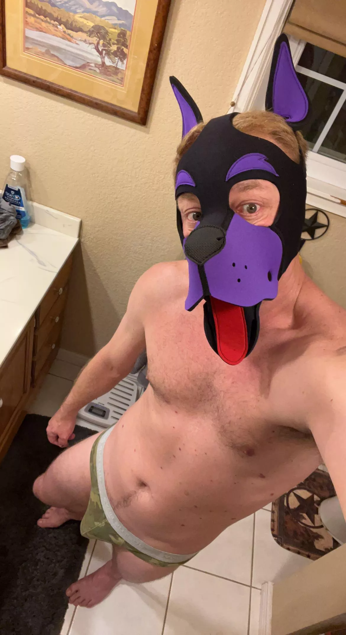 Any cool pups around the Denver metro area ?