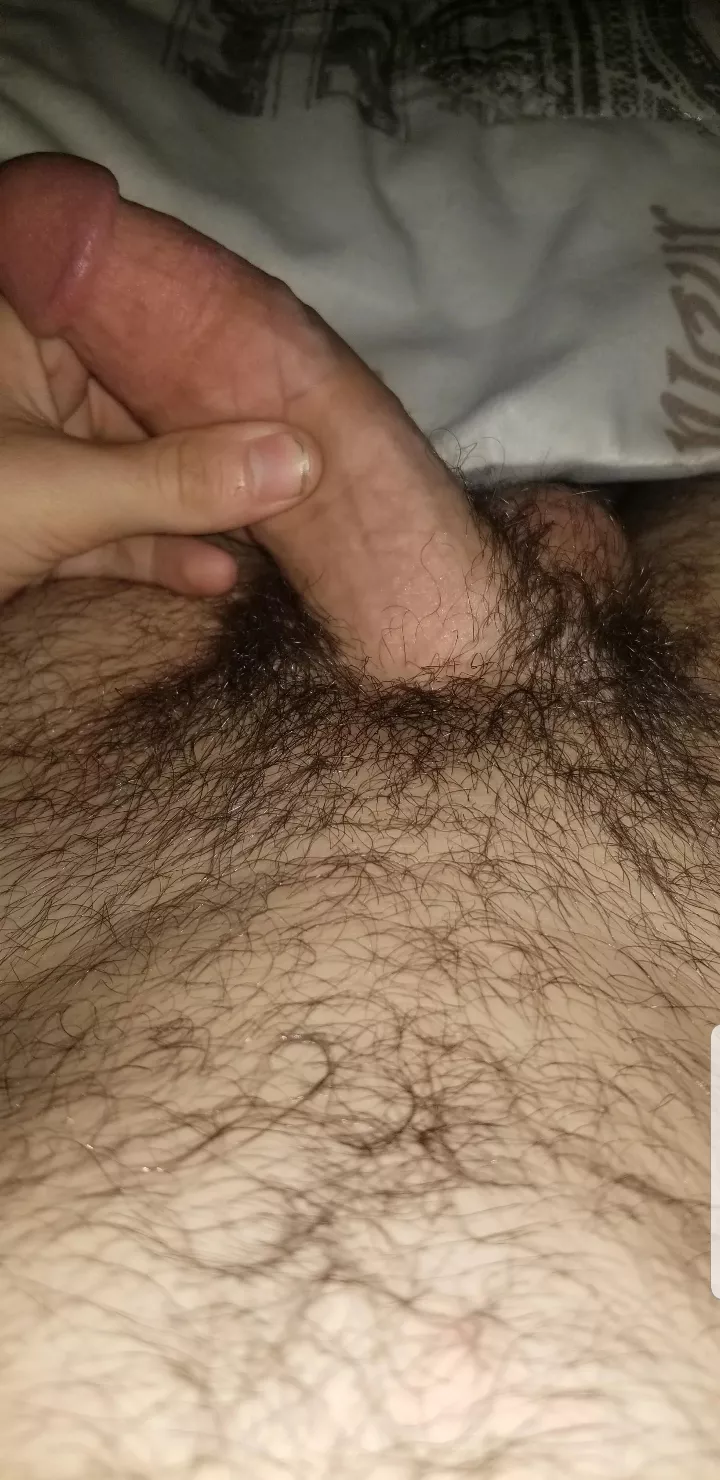 any girls want a virgin dick to try