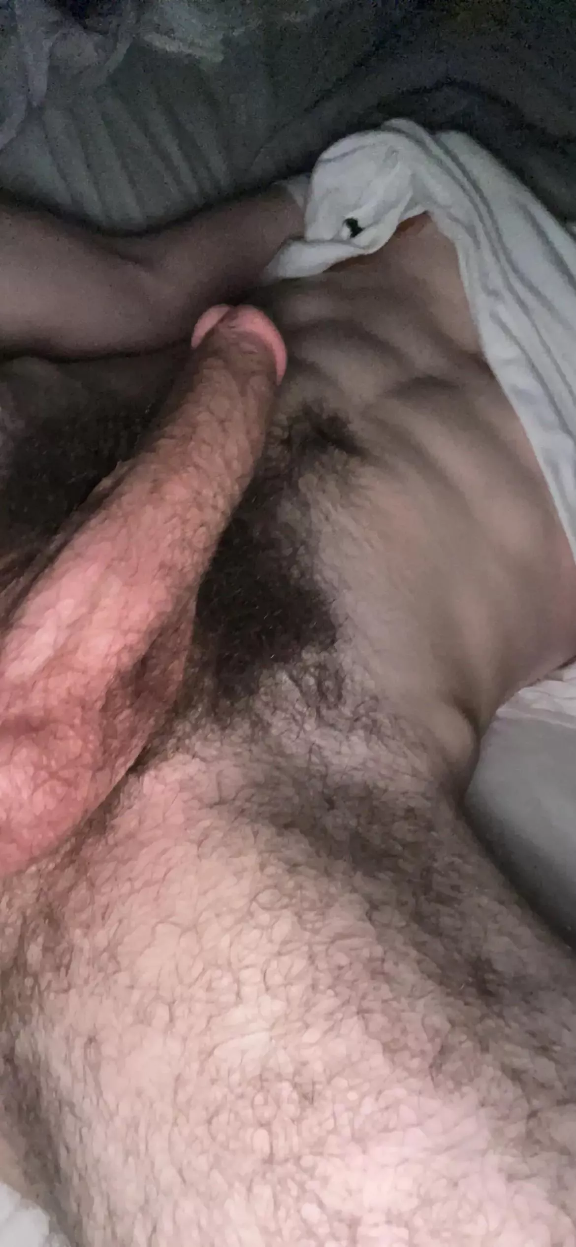 any love here for a hairy cock?