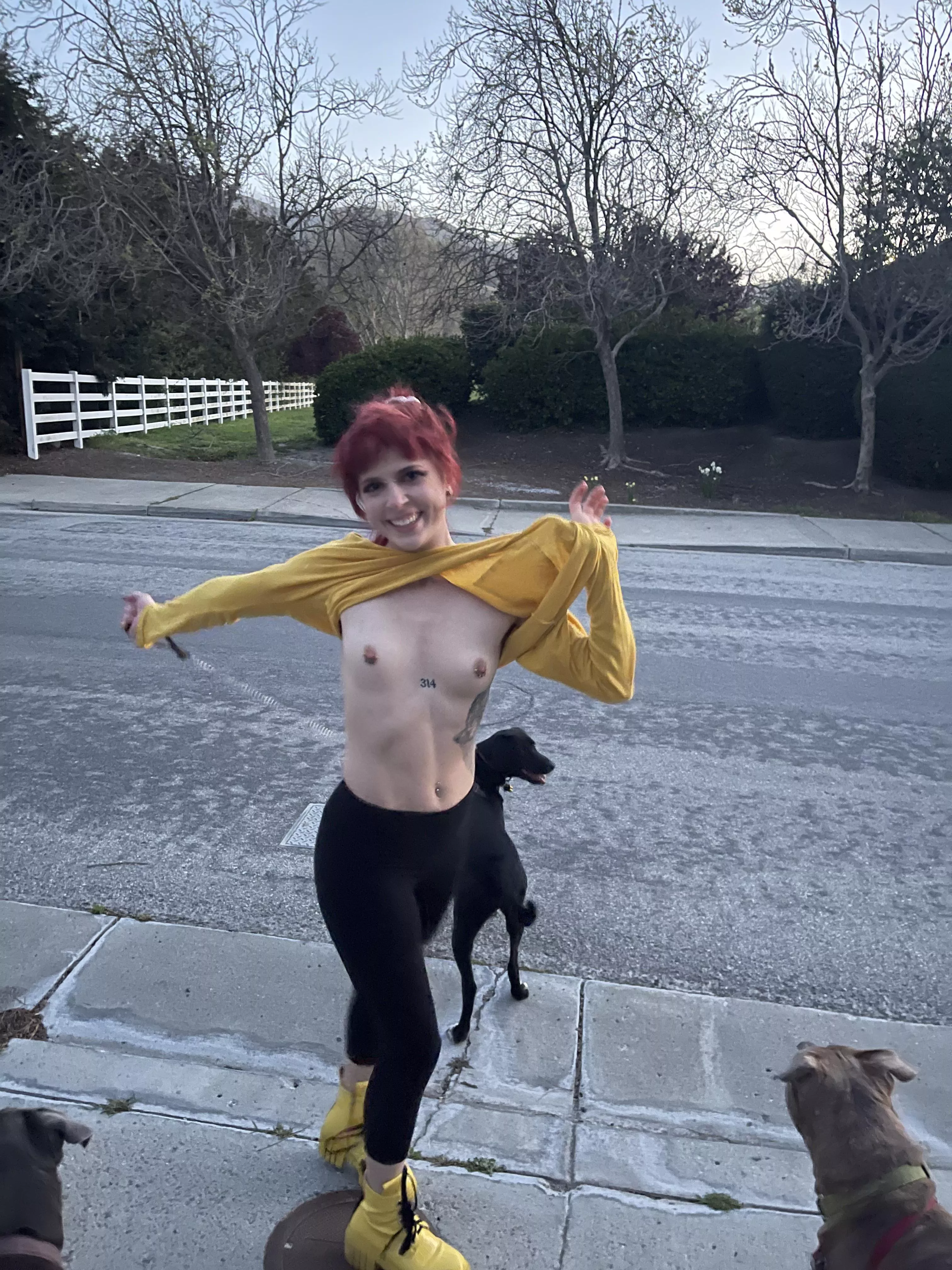 Anyone else get horny walking the dogsâ€¦ or all the time?