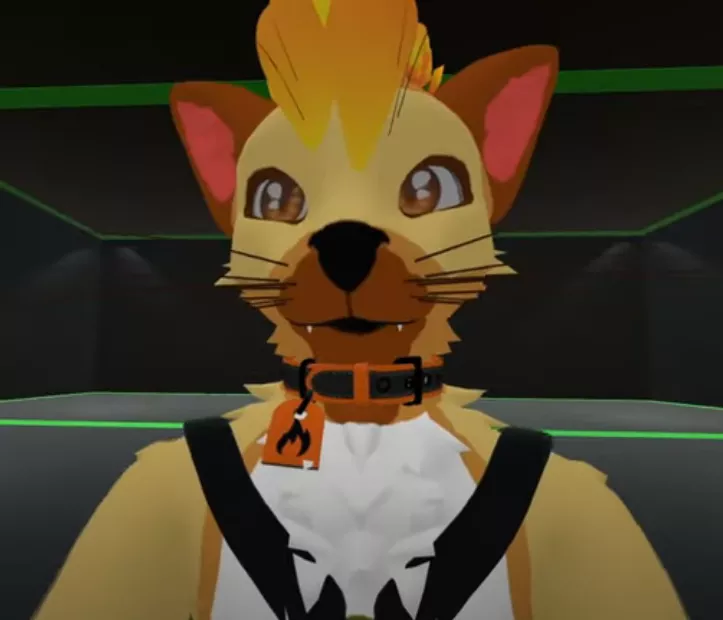 Anyone here know which vrchat model this is?