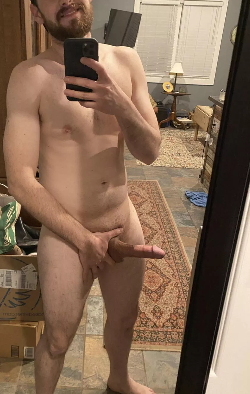 Anyone into the average body?