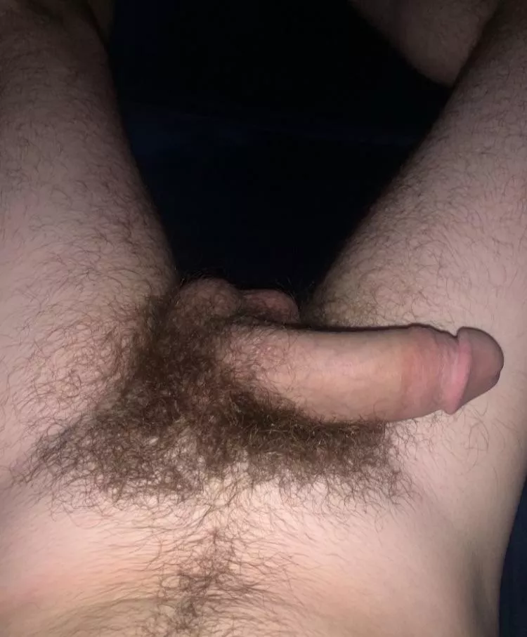 Anyone like a untrimmed pubes? ðŸ’ª