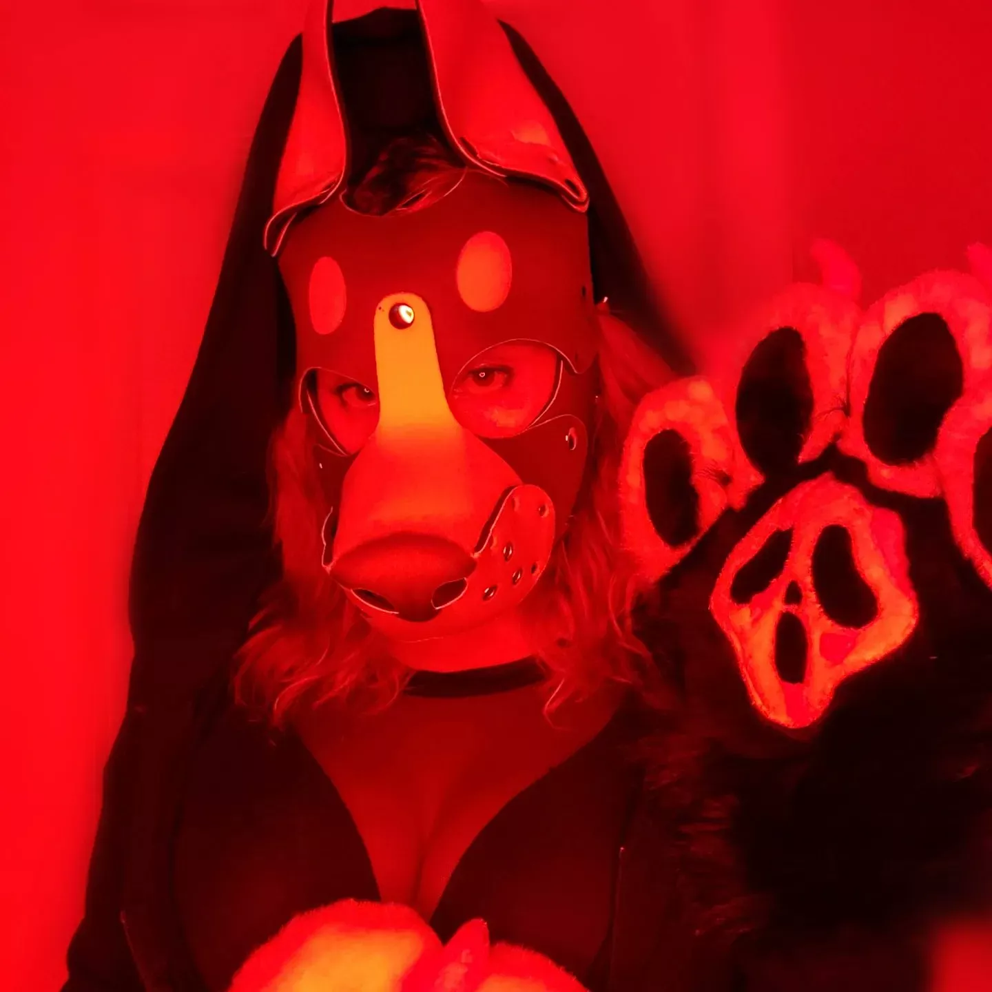 anyone like horror pups?