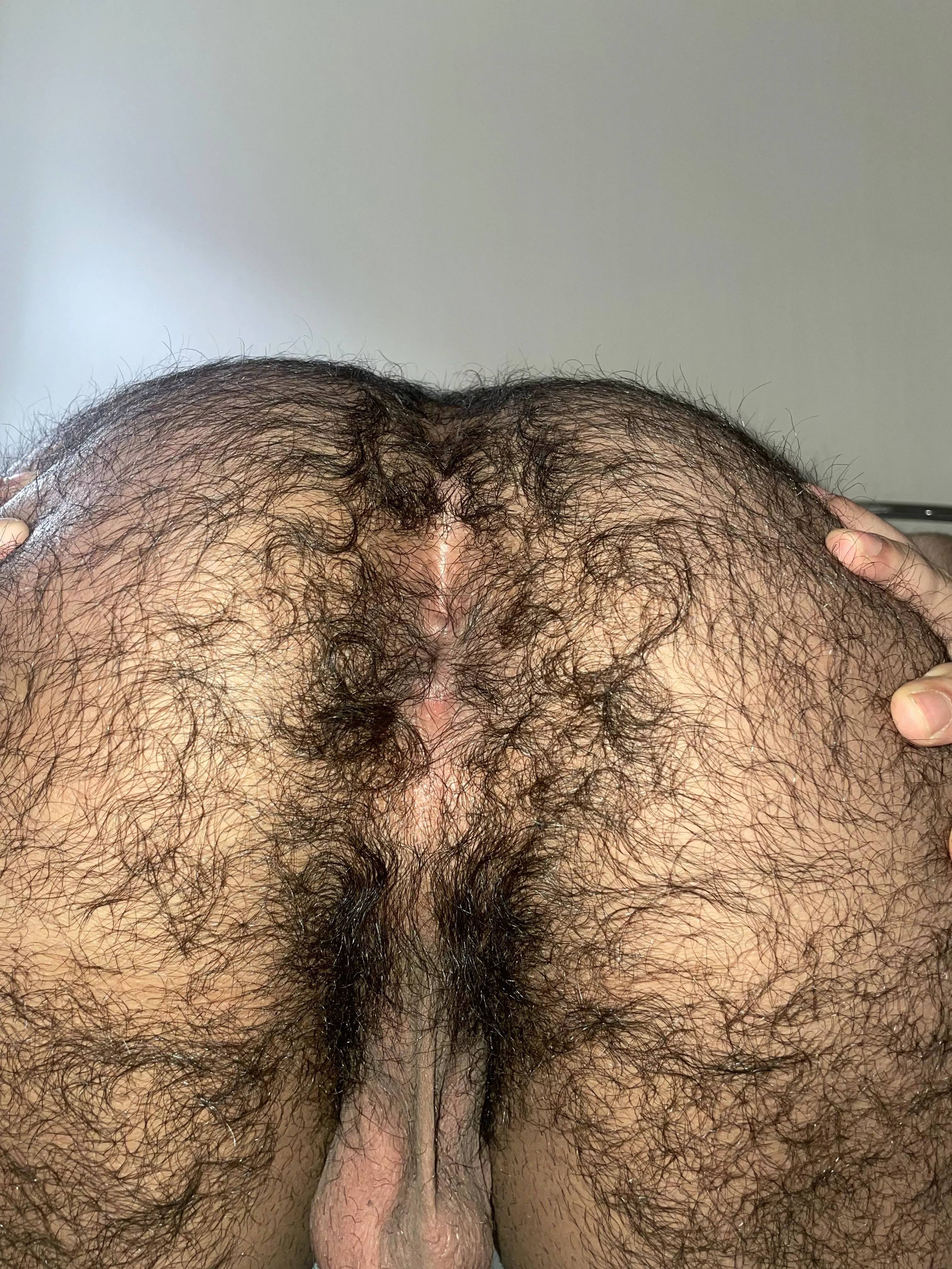 Anyone like it hairy?