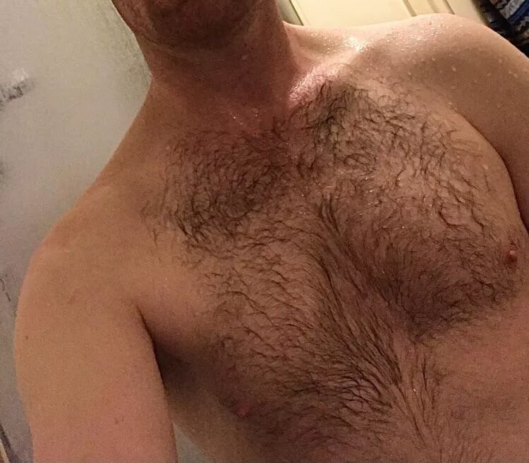 Anyone like my hairy chest