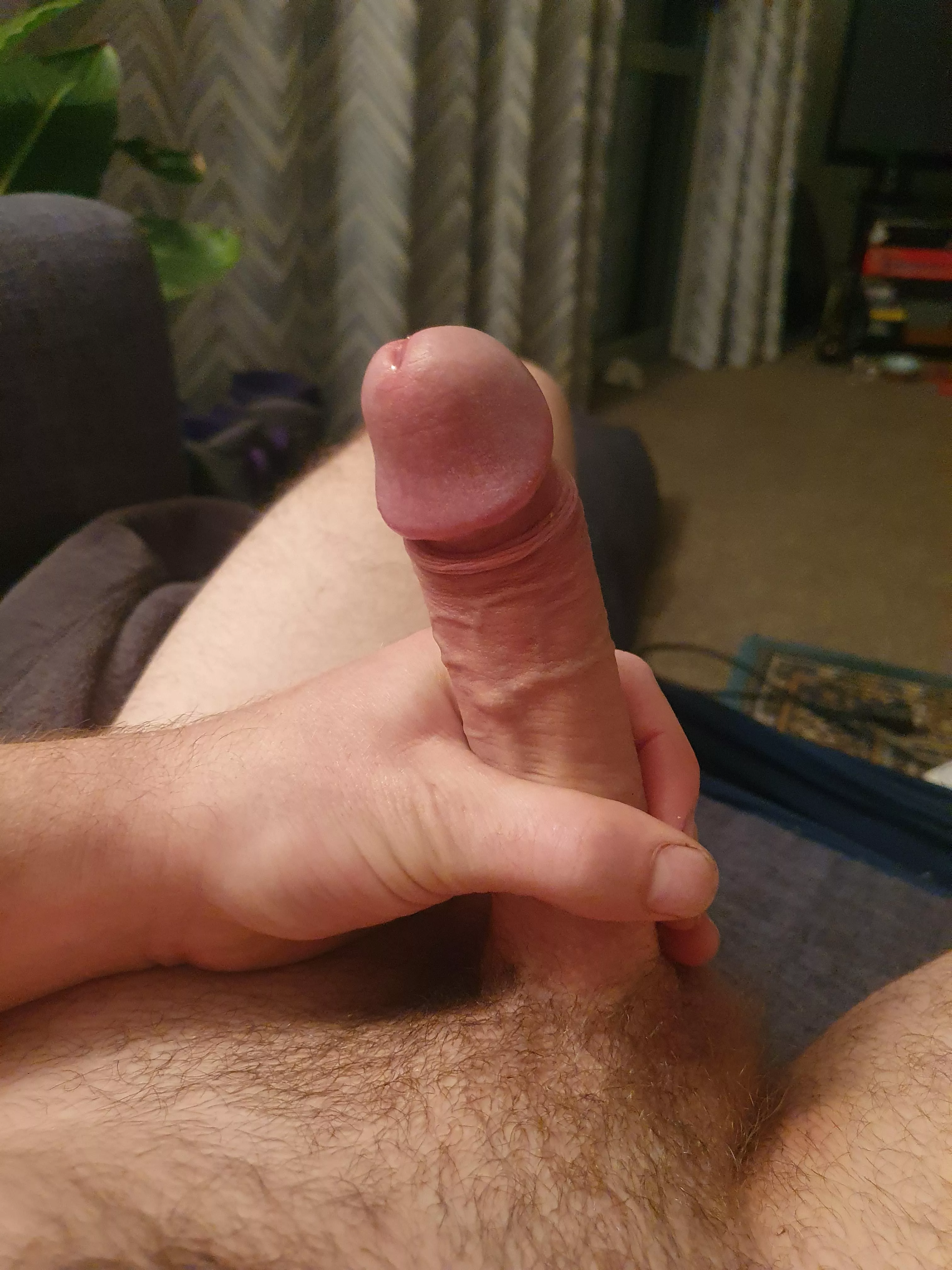 anyone like my hard cock?