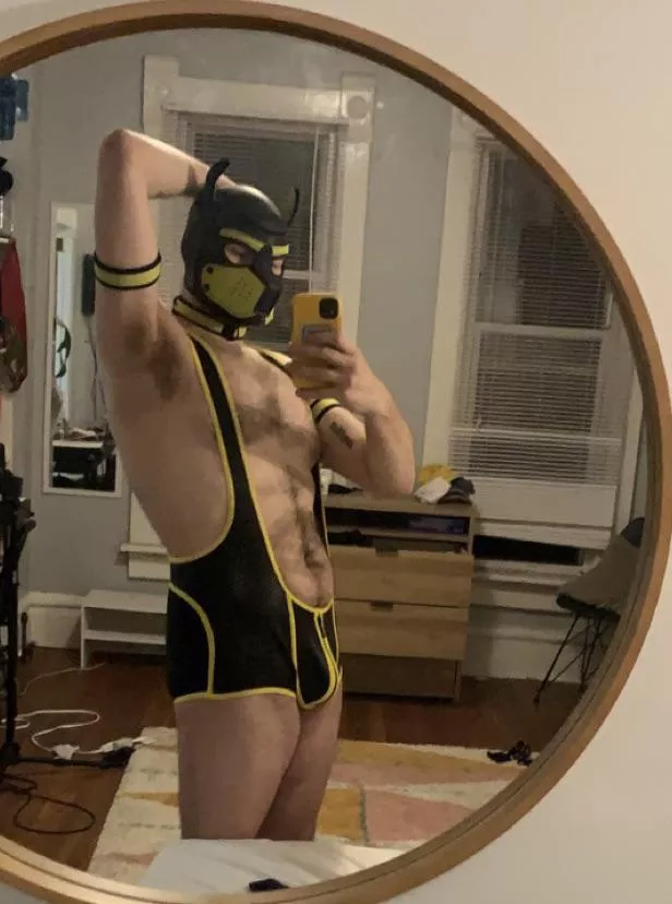 Anyone wanna wrestle with this pup?? Winner gets treats!!!