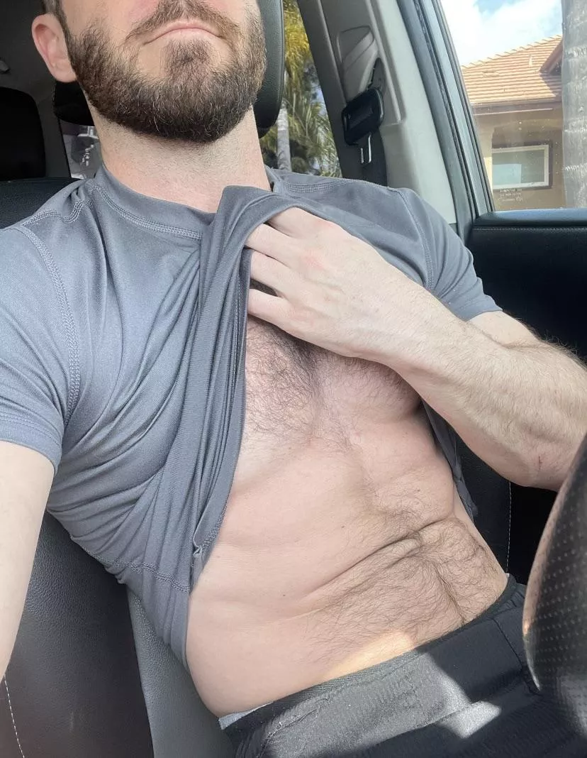 Are shirts required in cars? (25)