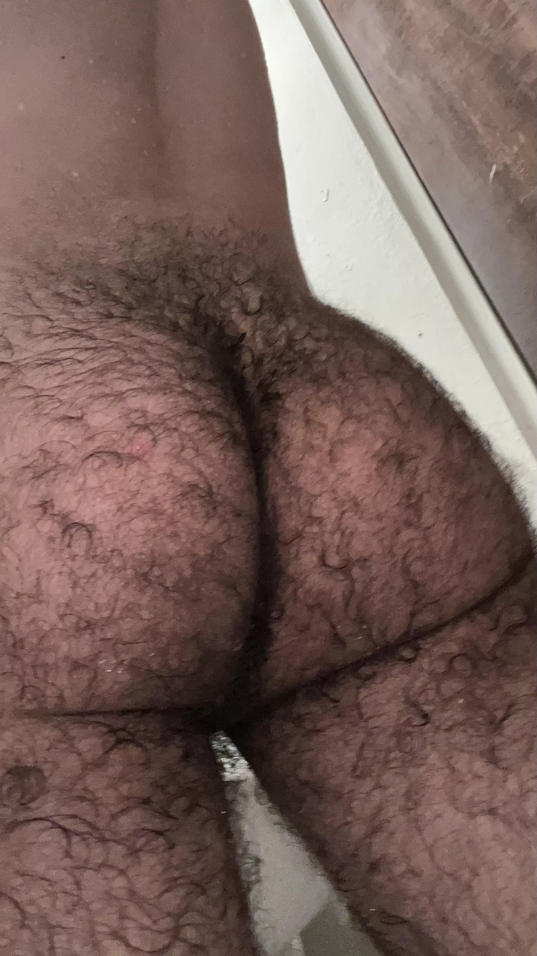 Are you a fan of hairy ass ?