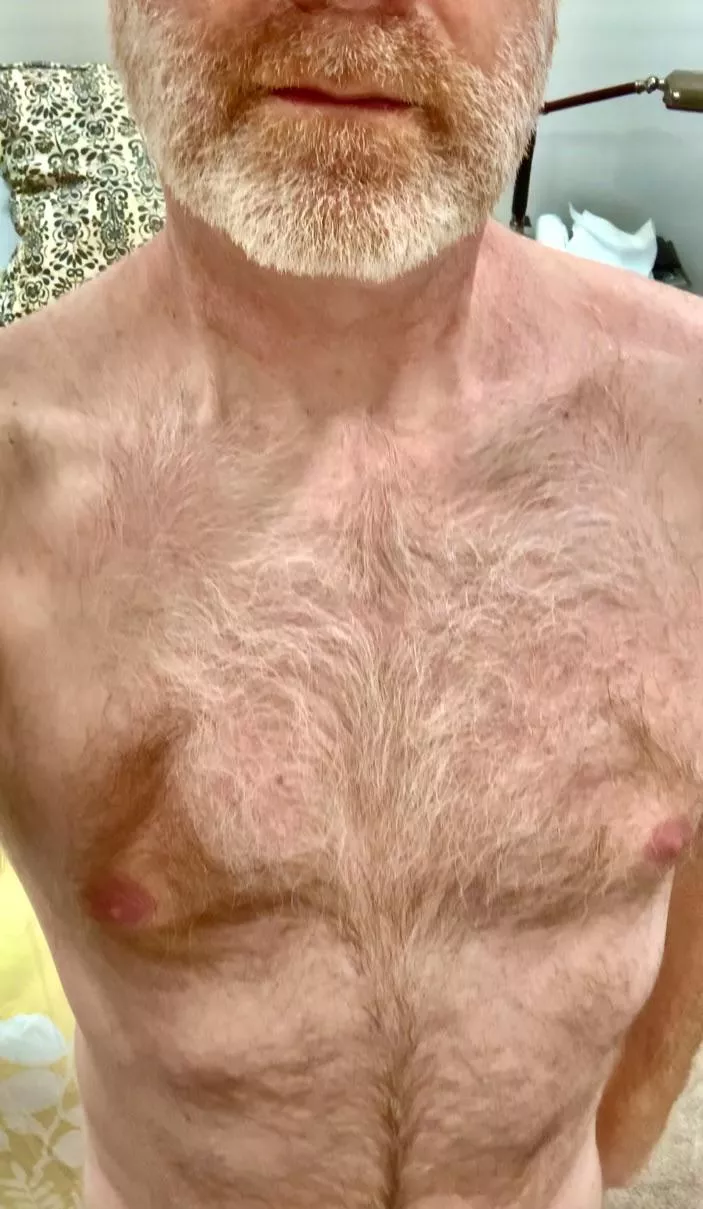 Are you wild about chest hair? Because I have some to spare.