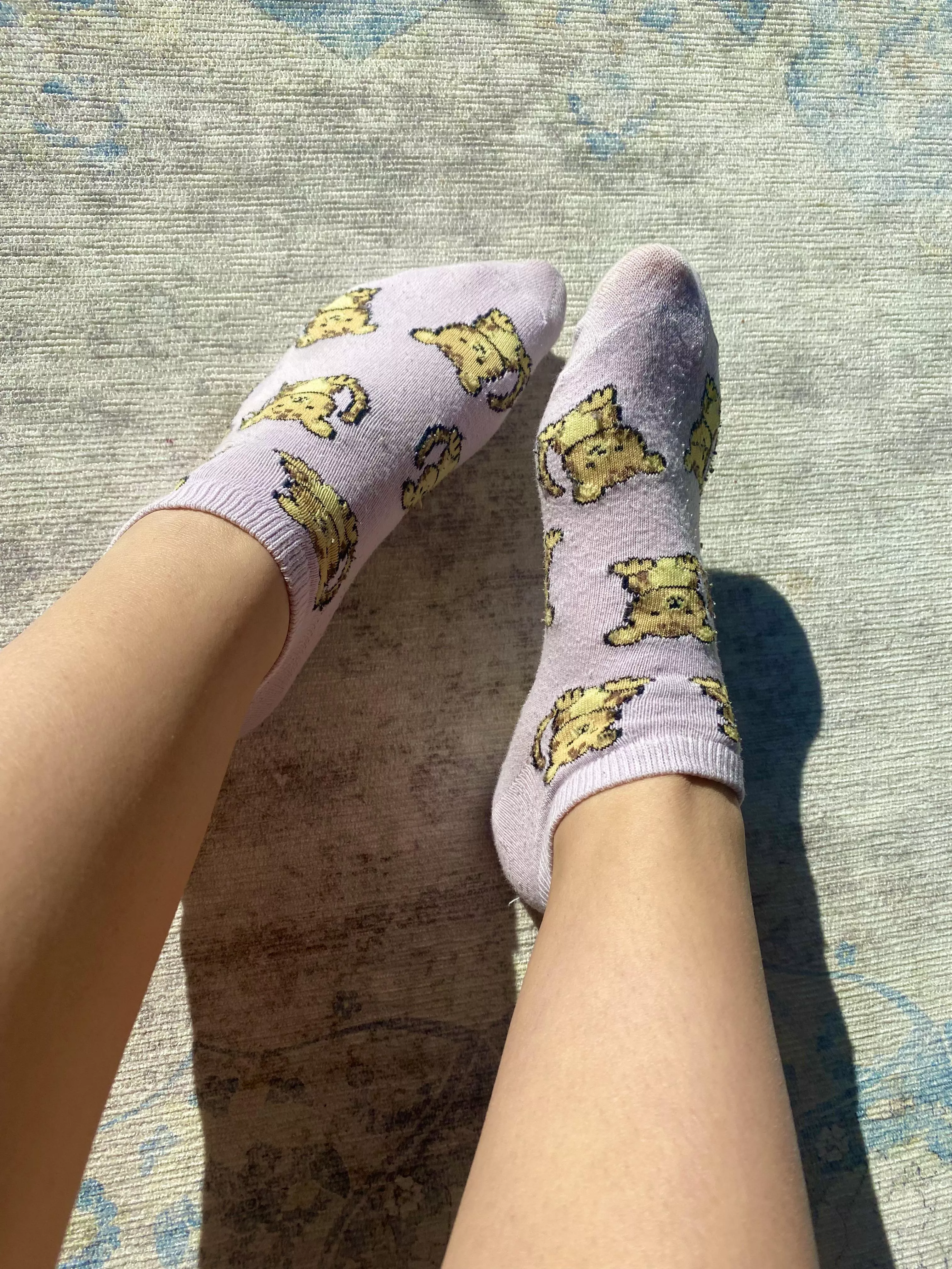 Aren’t these the cutest socks?! 🐯😊