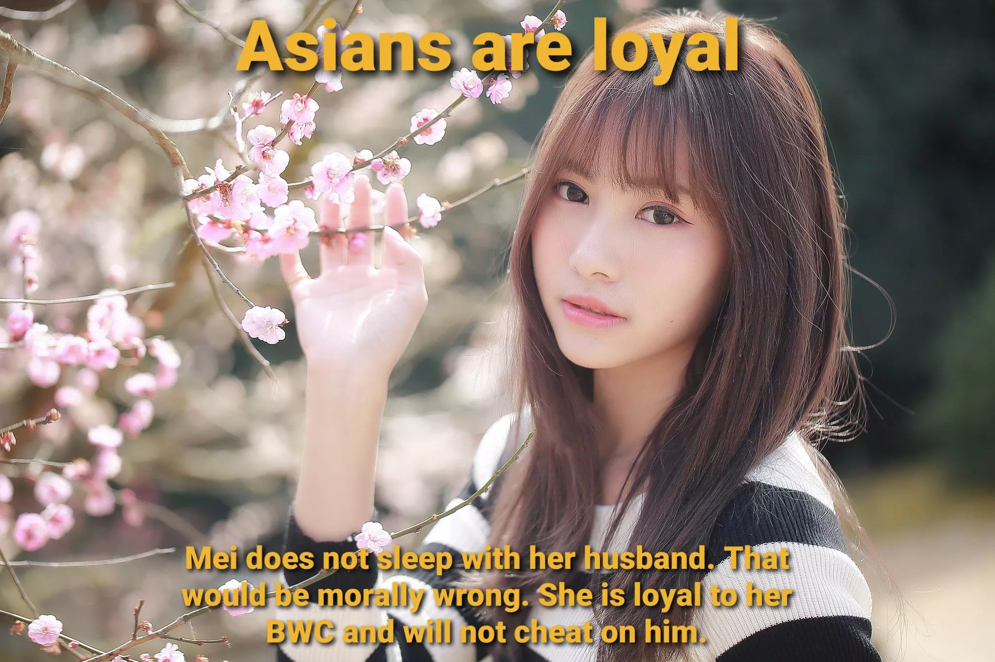 Asian Values 4: Loyalty