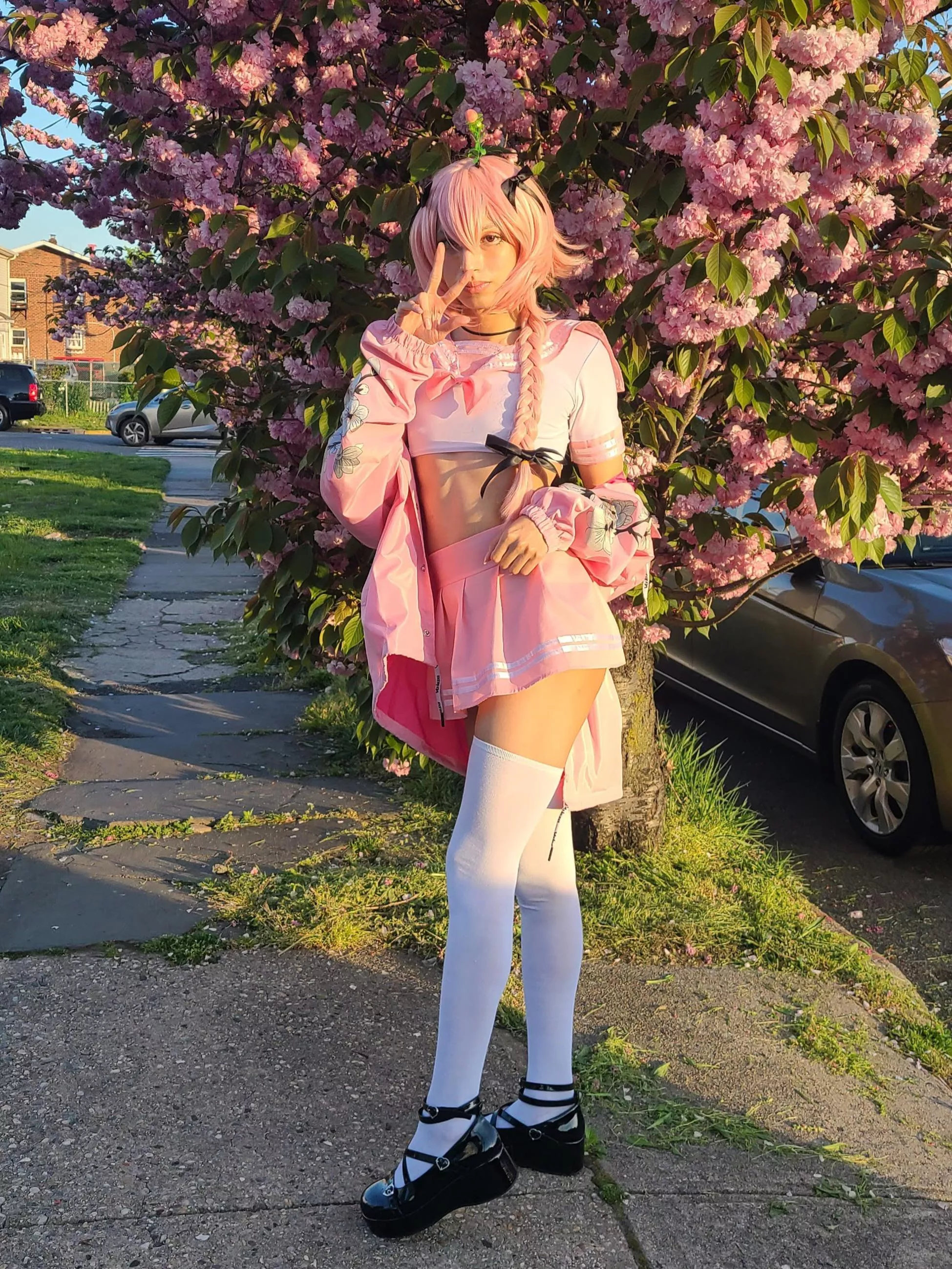 Astolfo + matching tree ðŸŒ¸