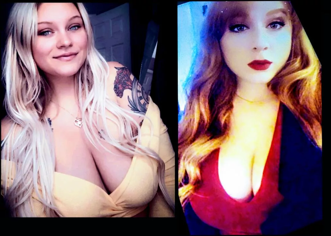 battle of the breasts, which one? [2]