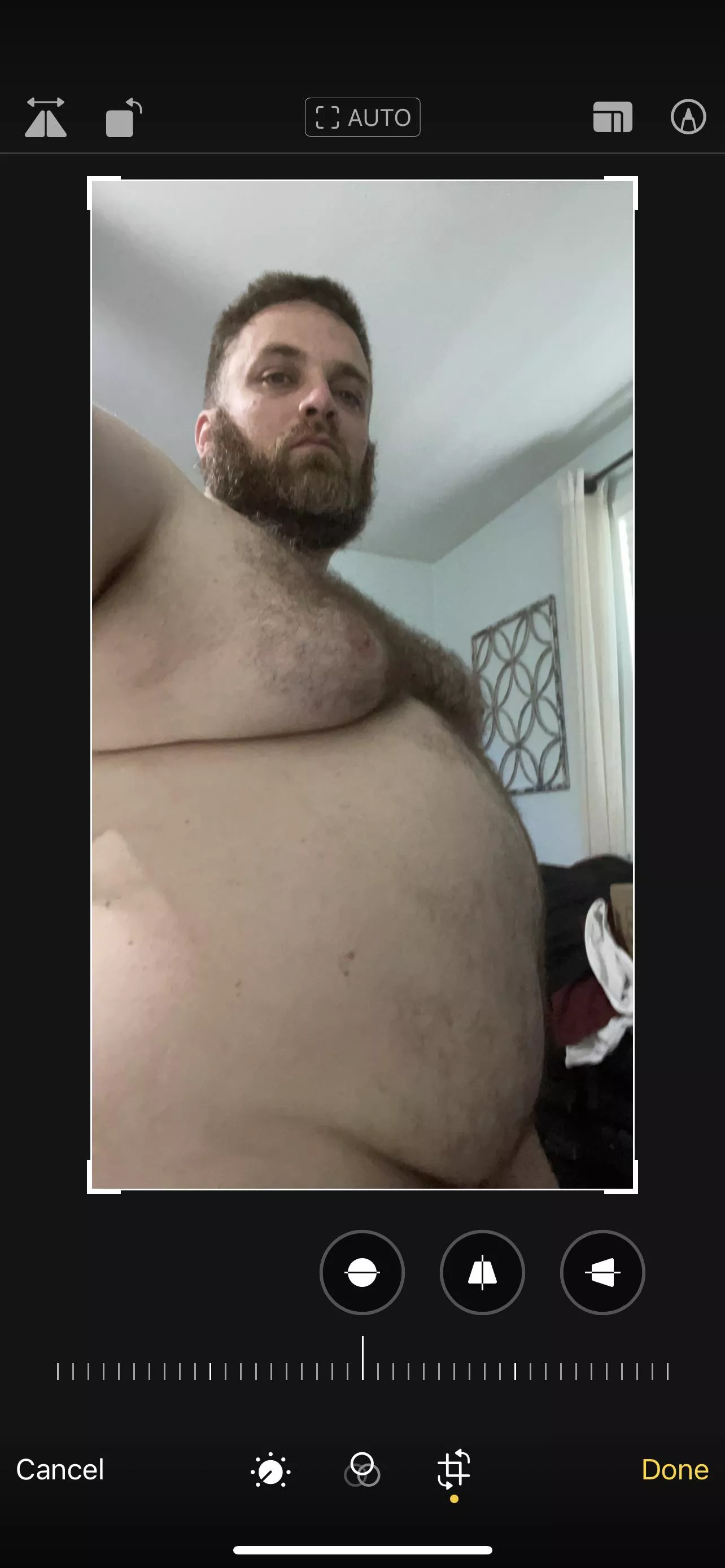 Bearded chubby dad bod