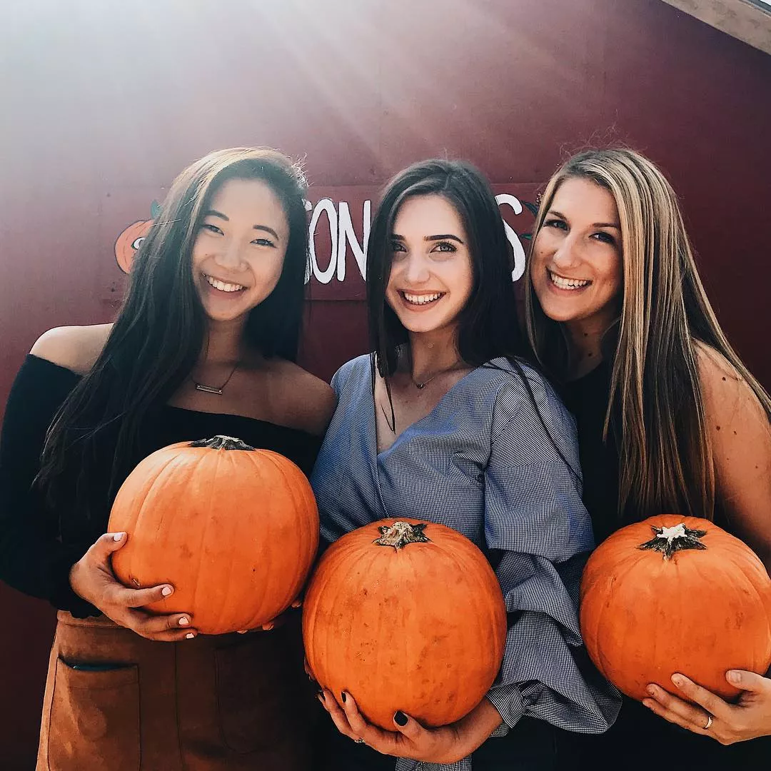 Beautiful Pumpkins