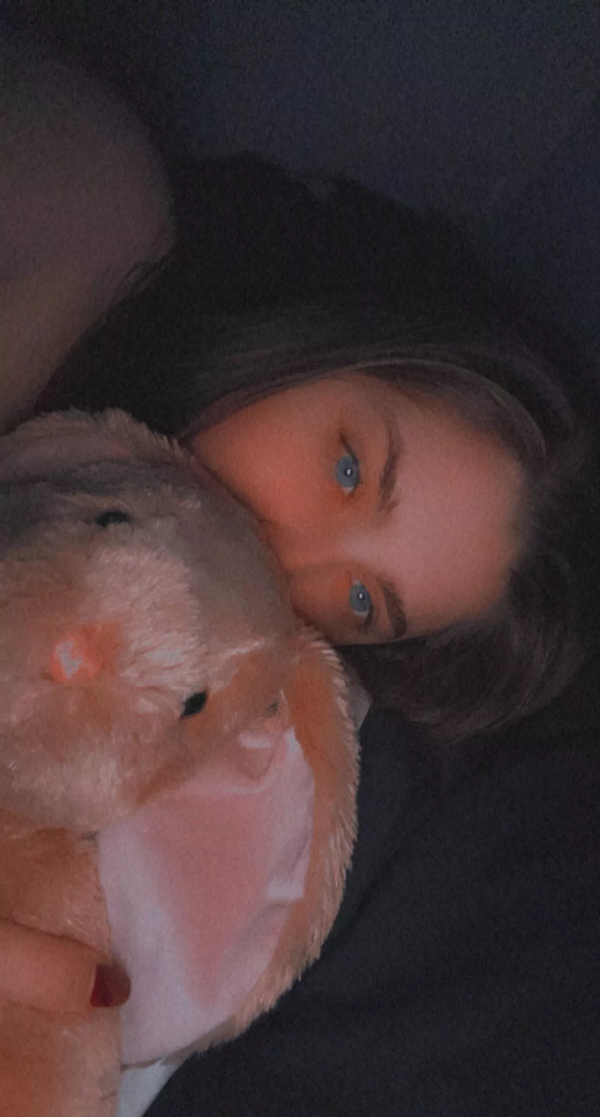 Bed time snuggles 🧸