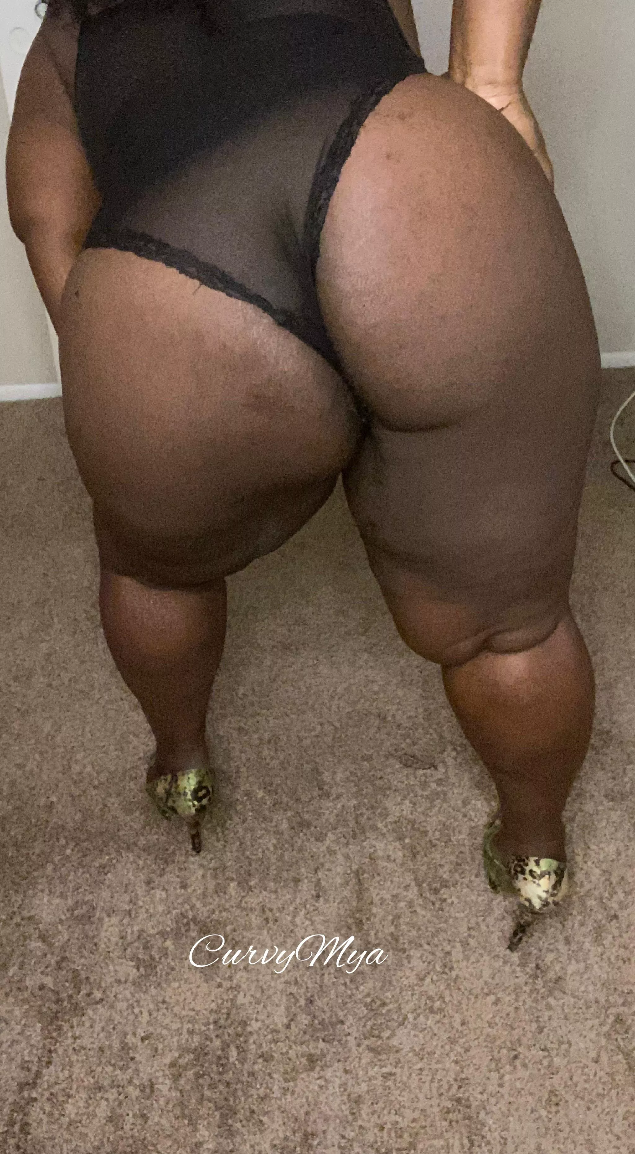 Big Black Ass Fetish Lovers