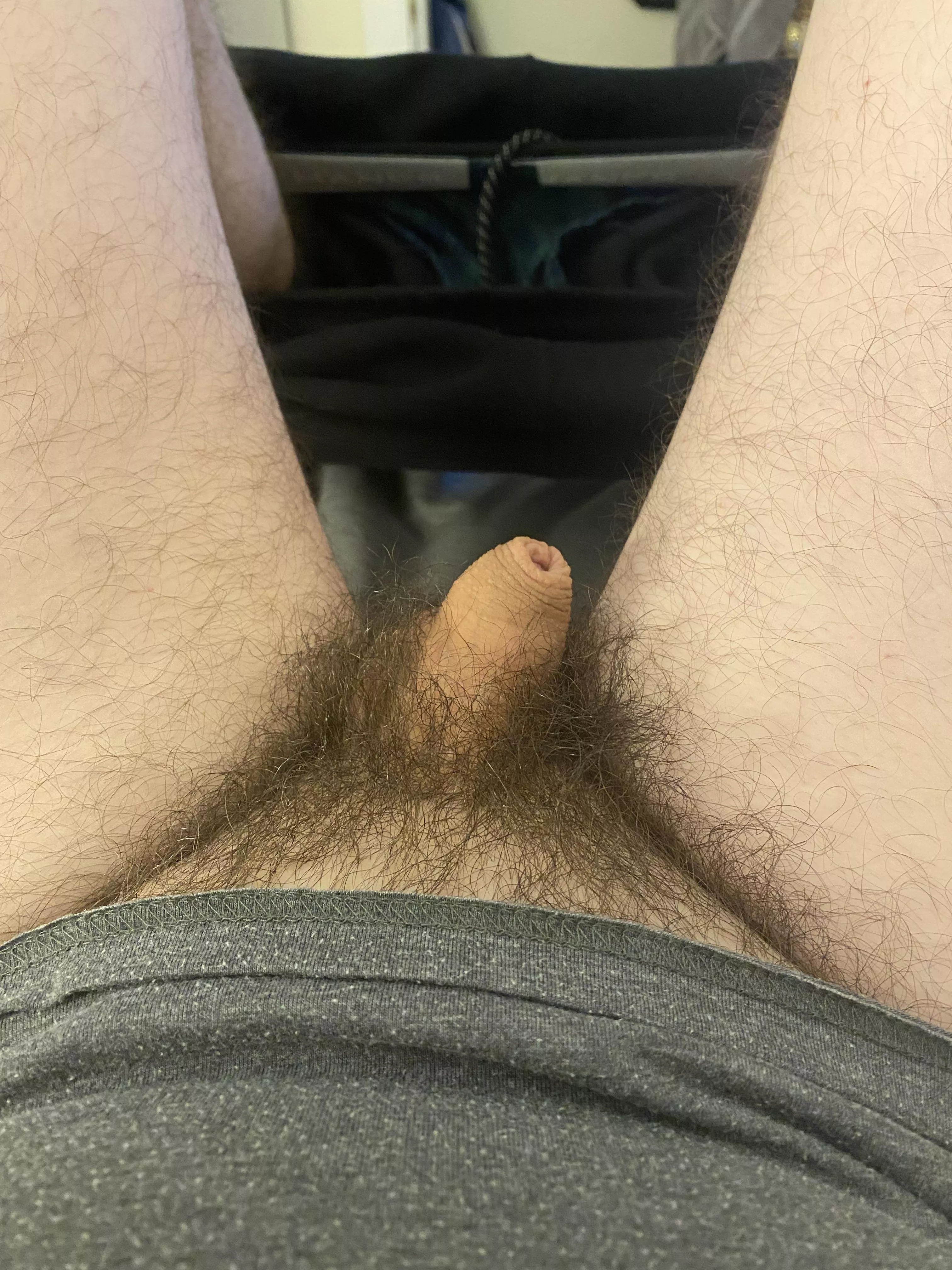 Big bush, little dick. Time for a trim I think.