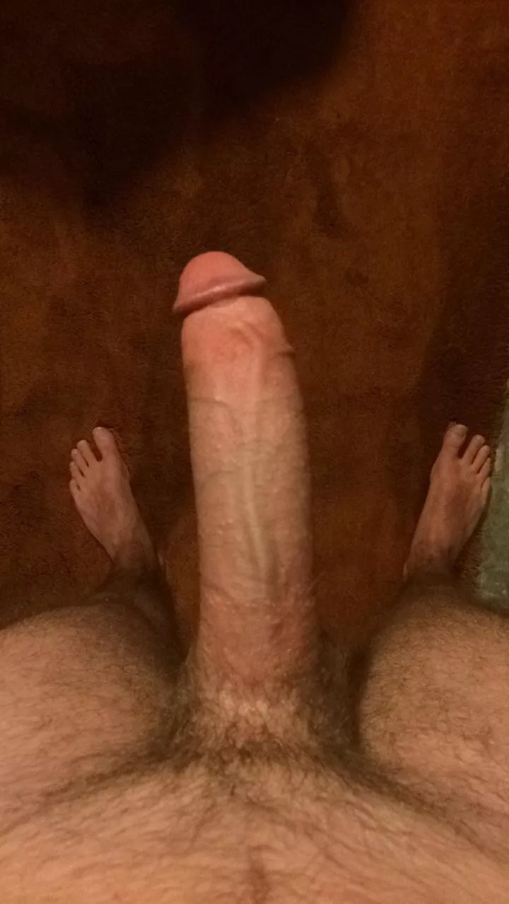 Biggest vein on reddit?