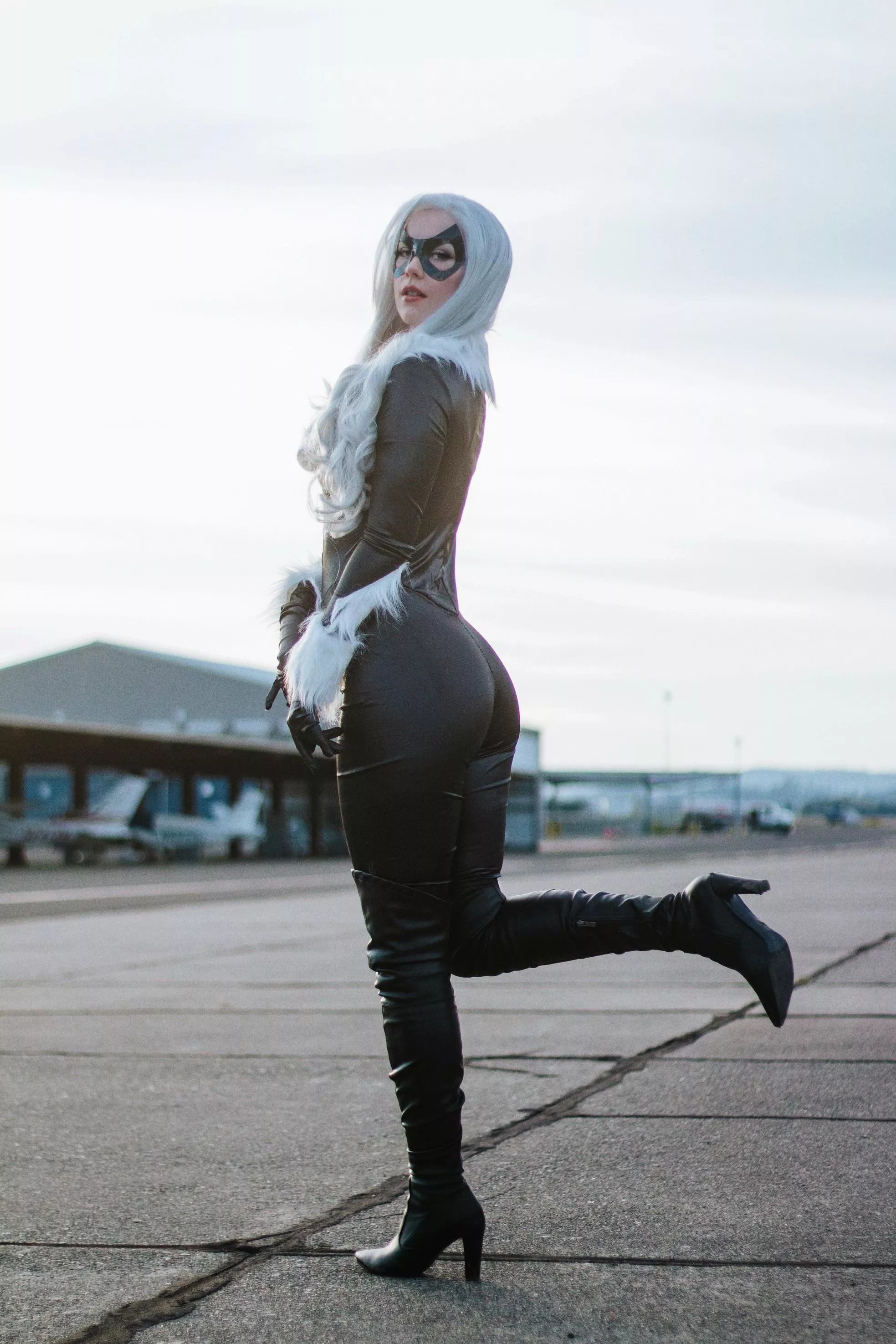 Black Cat by emdavfro