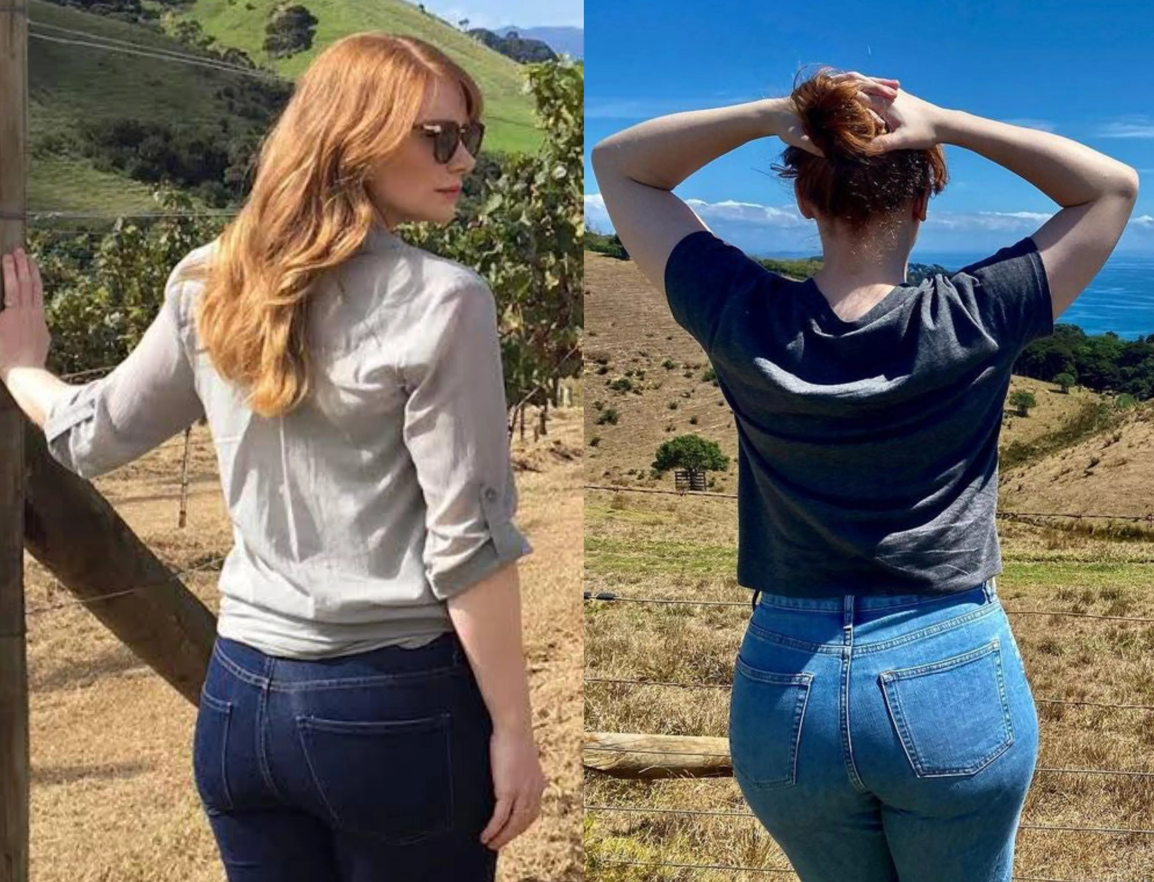 Bryce Dallas Howard