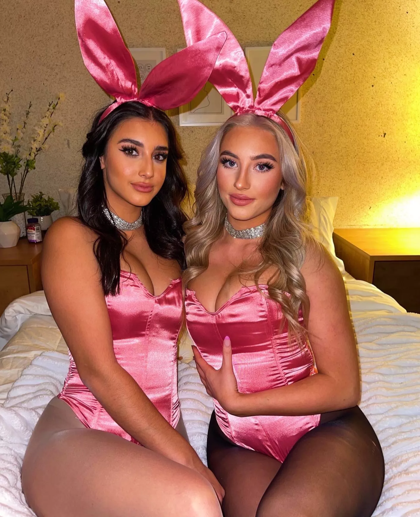 Bunnies