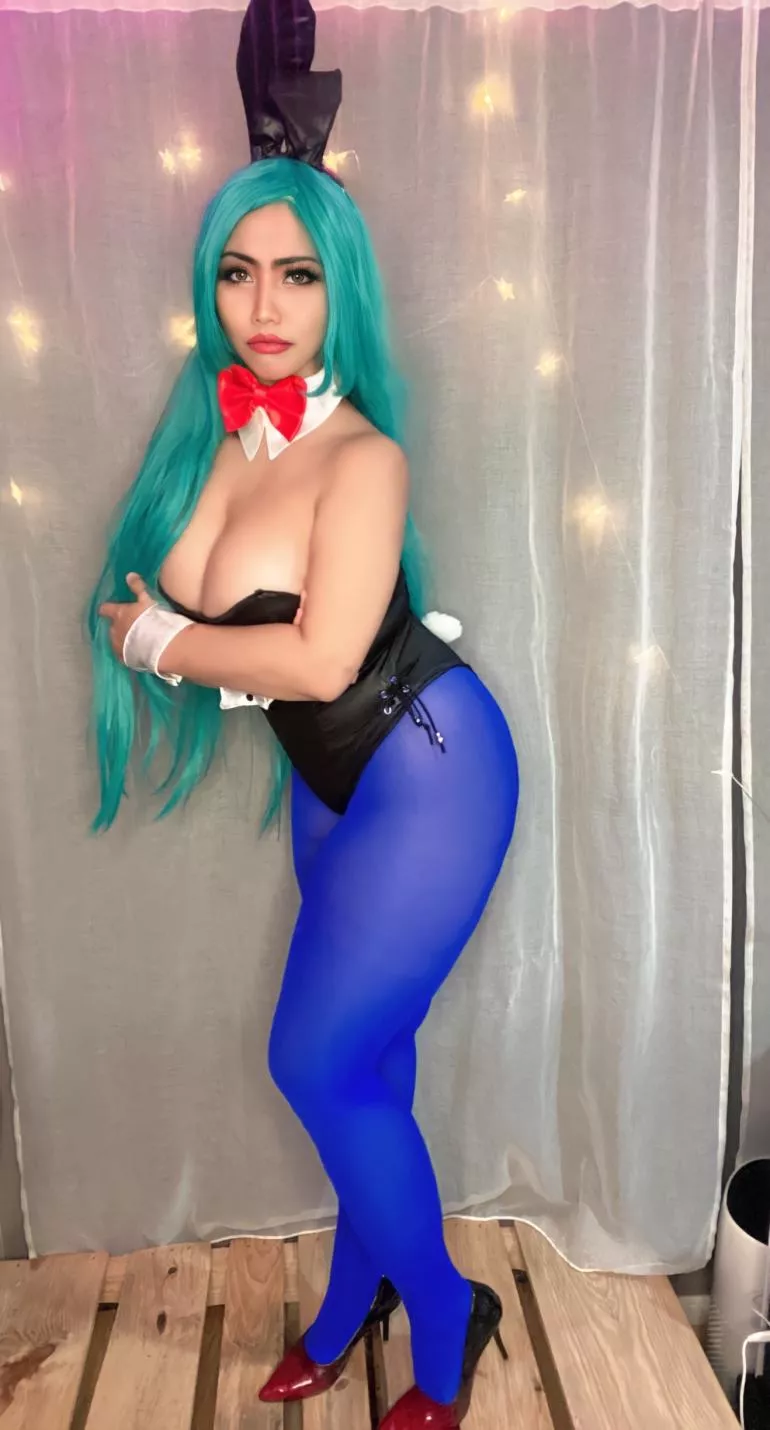 Bunny Bulma Cosplay by ItsAriaBB