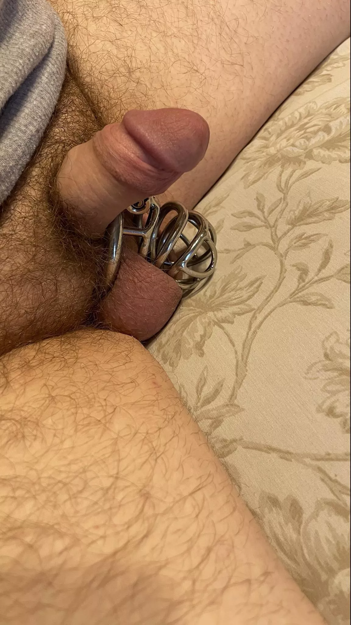 Cage too big or clit too small?