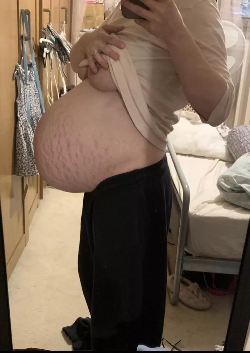 Can’t wait to be this huge again! Follow me for this new pregnancy