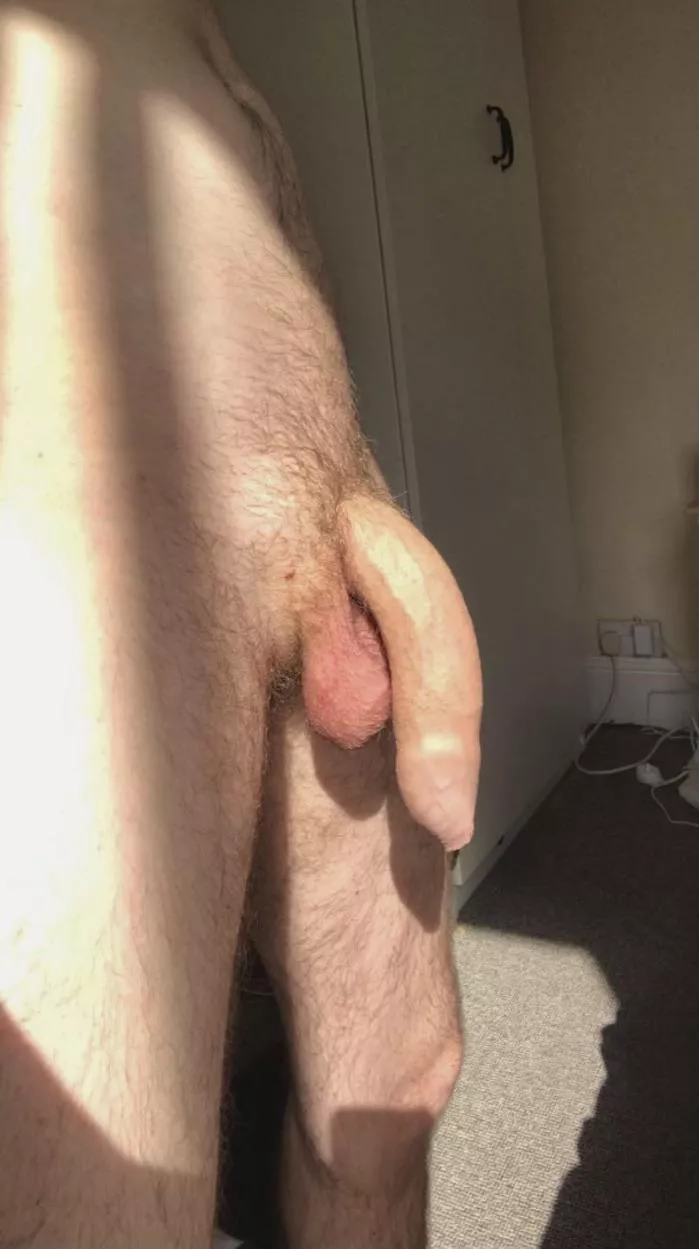 Catching the sun to help my dick grow