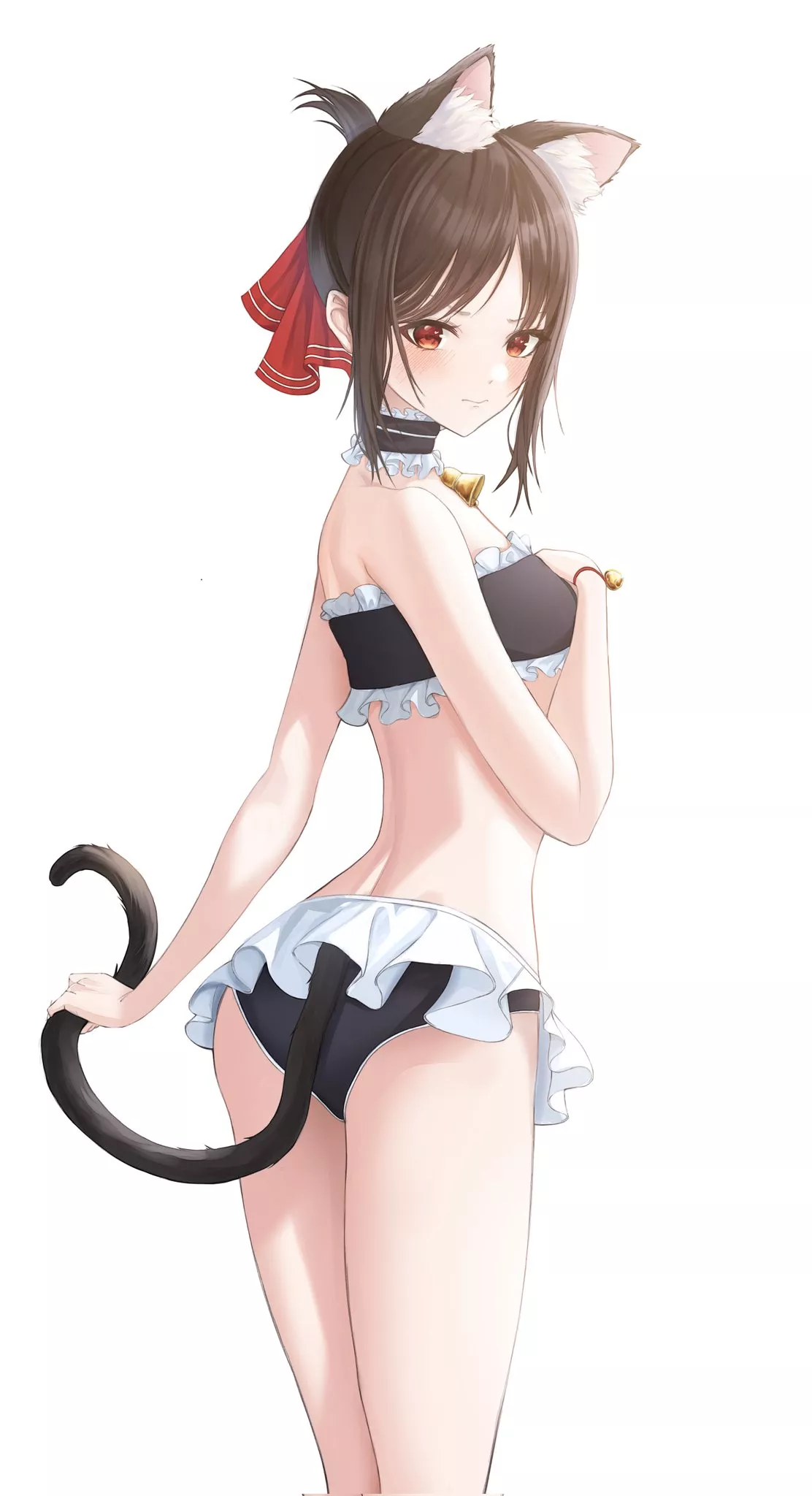 Catgirl Shinomiya [Kaguya Sama]