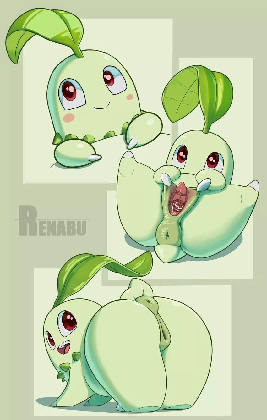 chikorita showing why she the best gen 2 starter (renabu) [f]