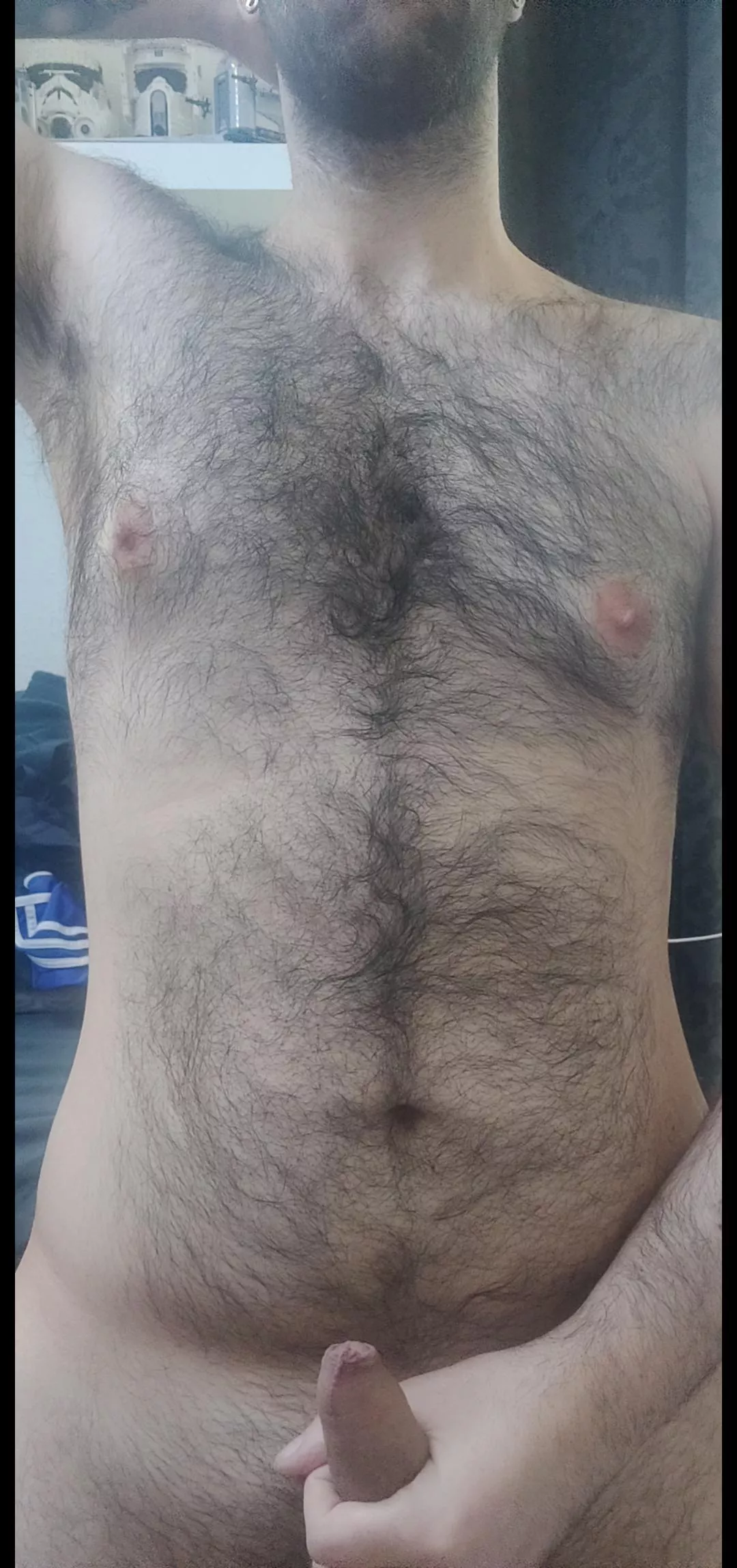 chubby and hairy chest