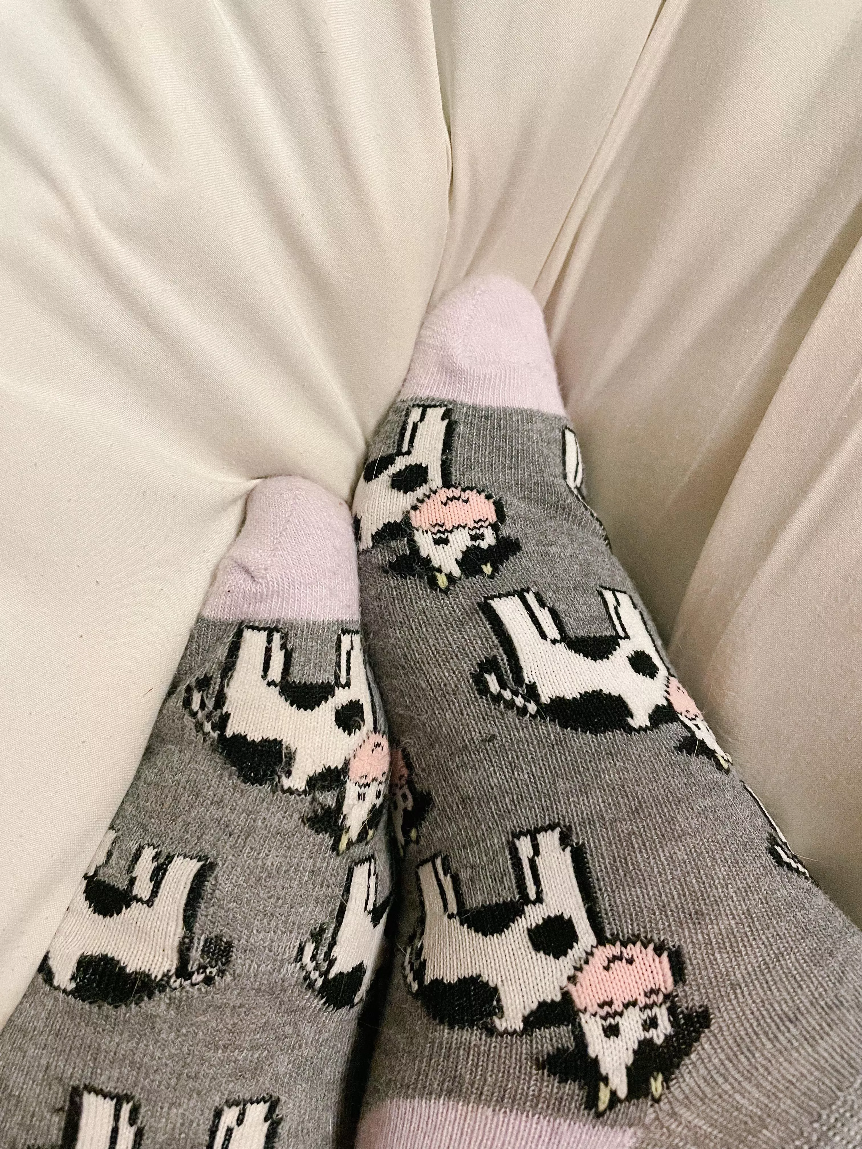 Chubby feet in cute socks