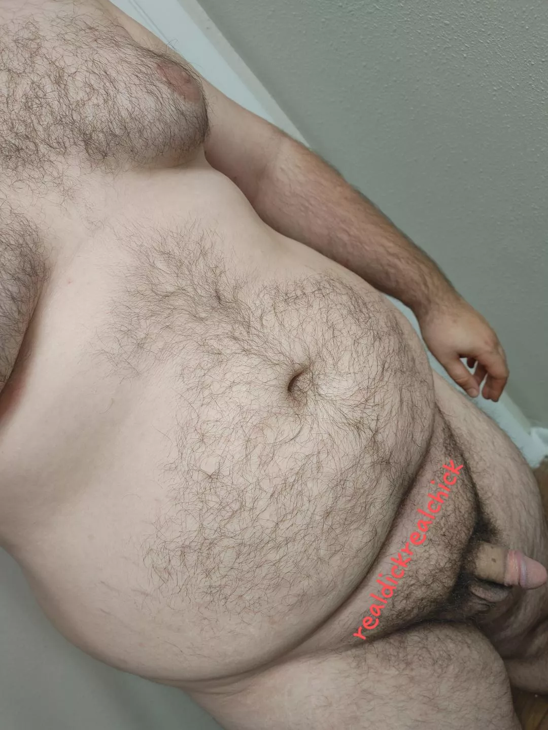 chubby, hairy, small cock. would you play with me?