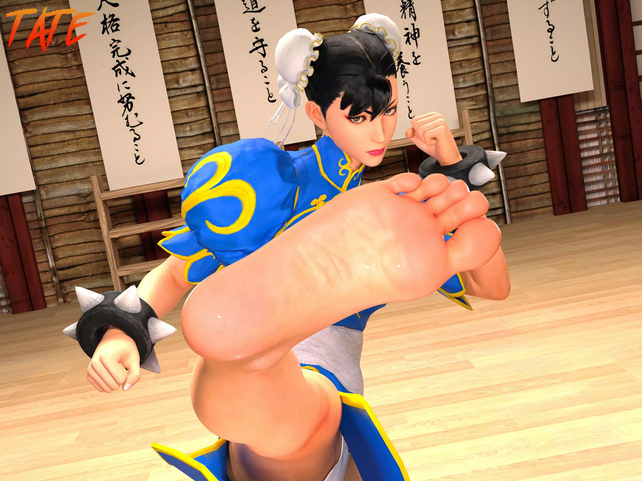 Chun-Li Training (Tate) [Street Fighter]