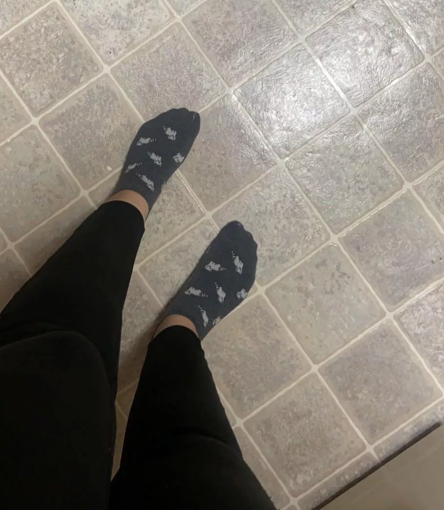 Cleaning my kitchen in my raccoon socks 😋