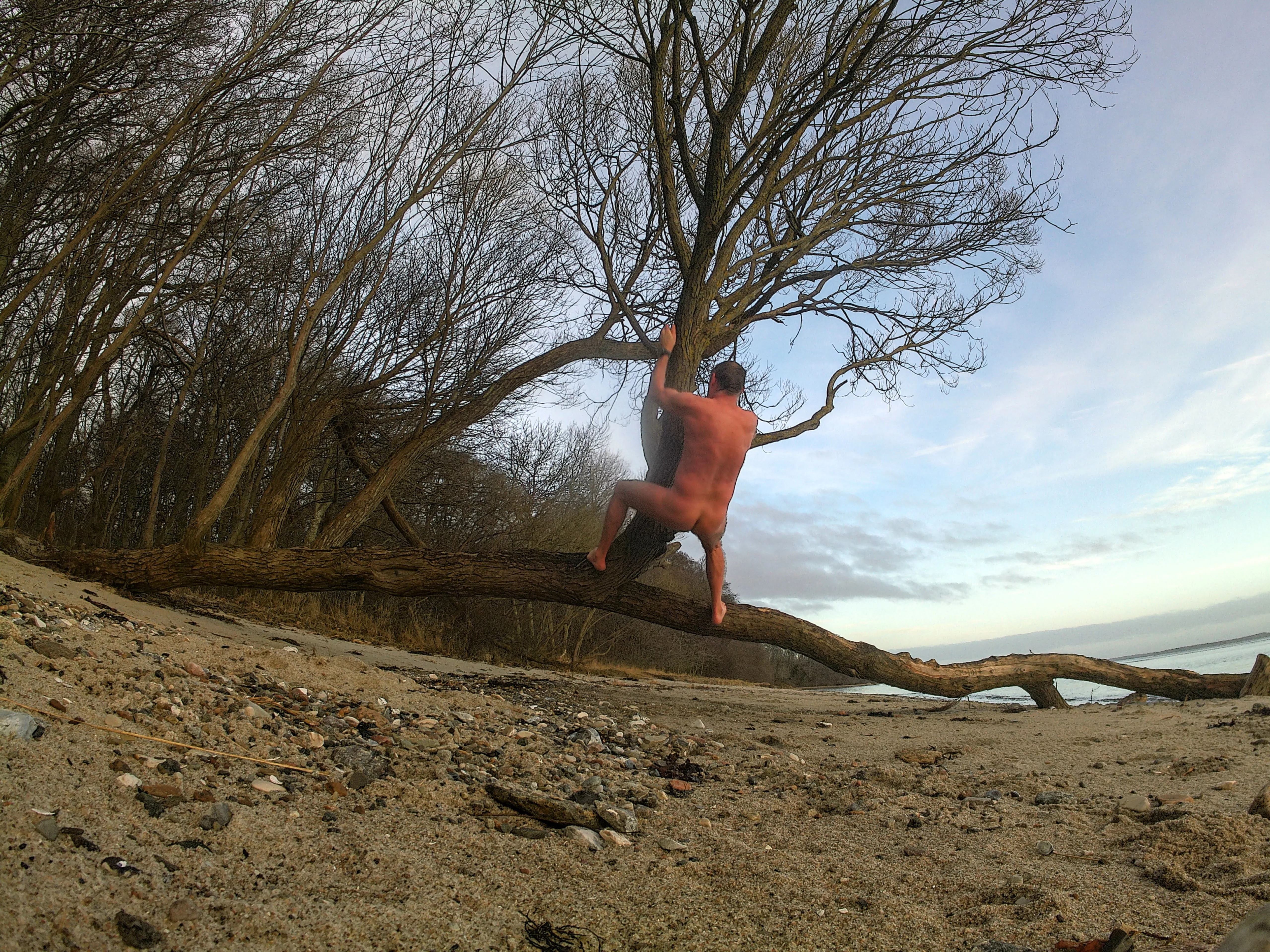 climbing trees is (also) fun to do naked