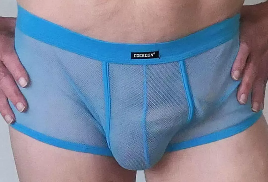 close up of my mesh briefs. (70)..