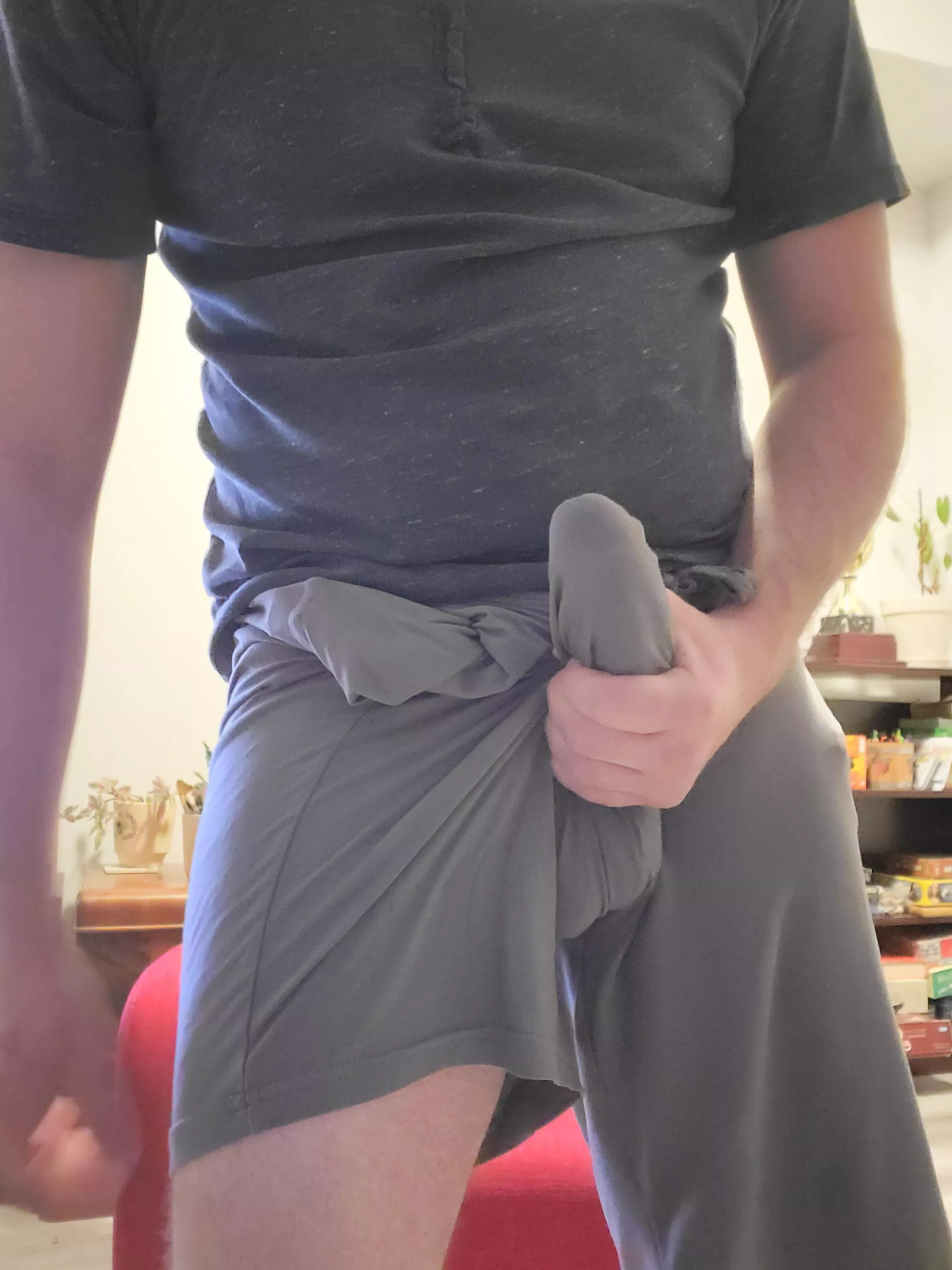 Cock and balls outline in grey shorts