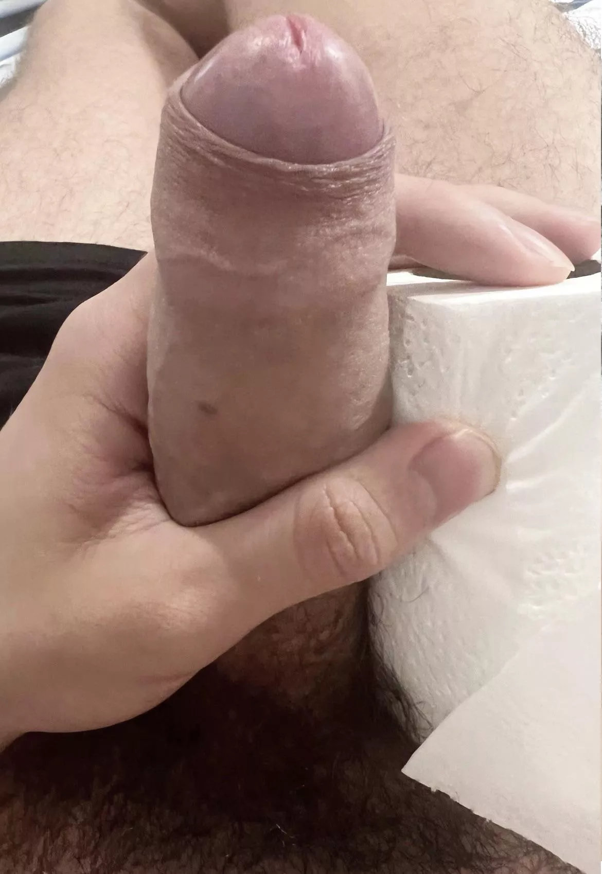 Cock vs toilet paper