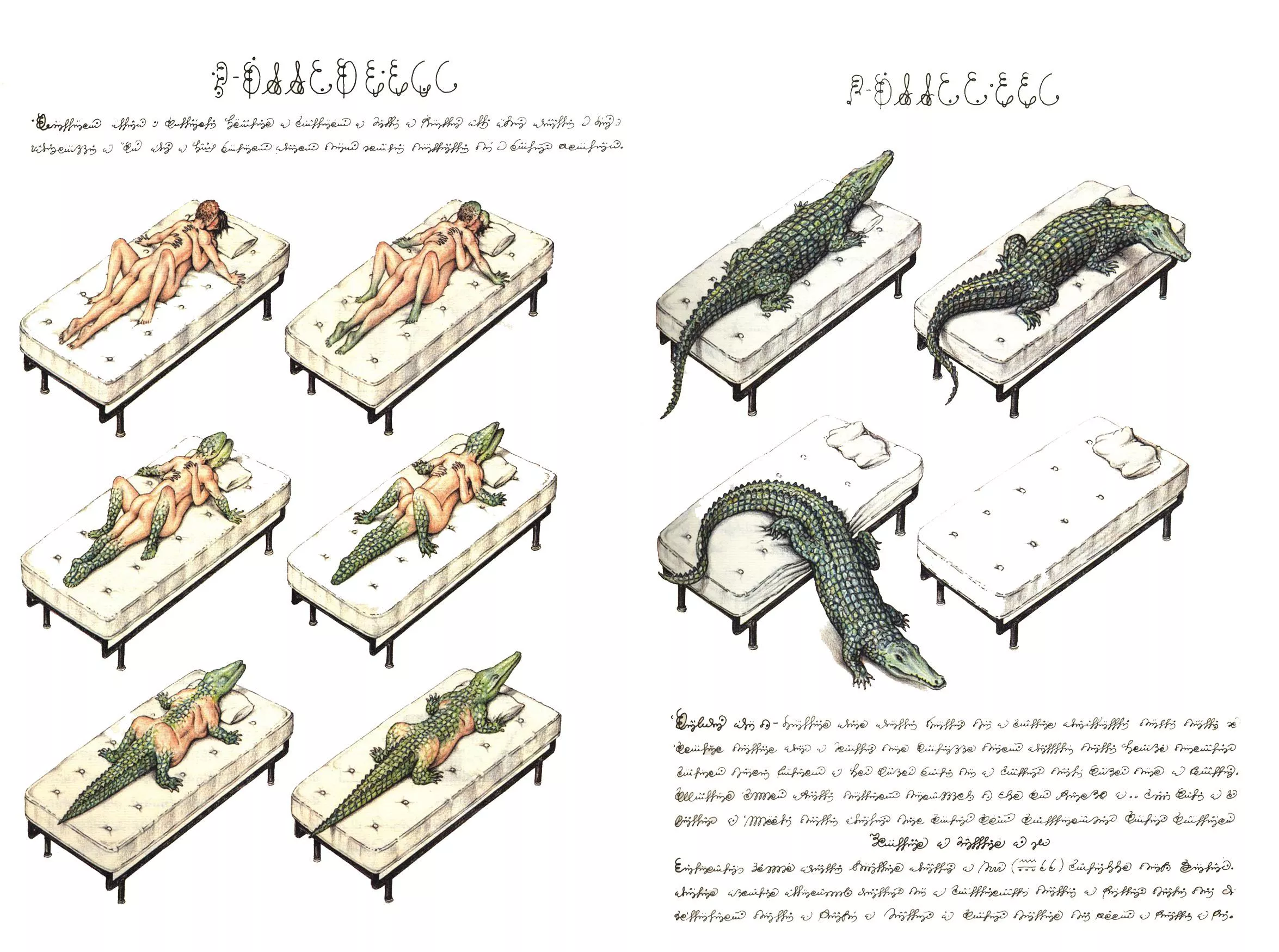 Codex Seraphinianus by Artist Luigi Seragini