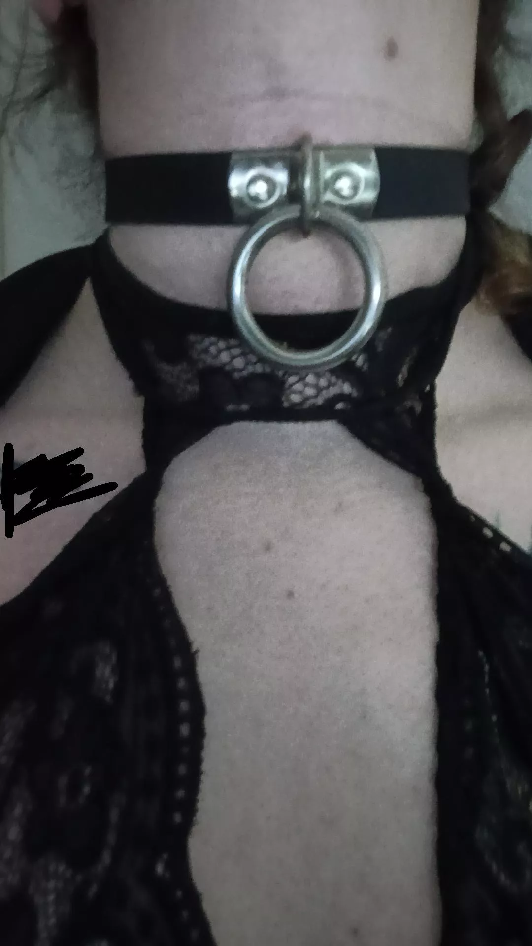 collared and awaiting for a dt