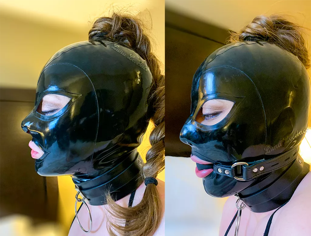 Collared + Gagged 🖤 [OC] [F]