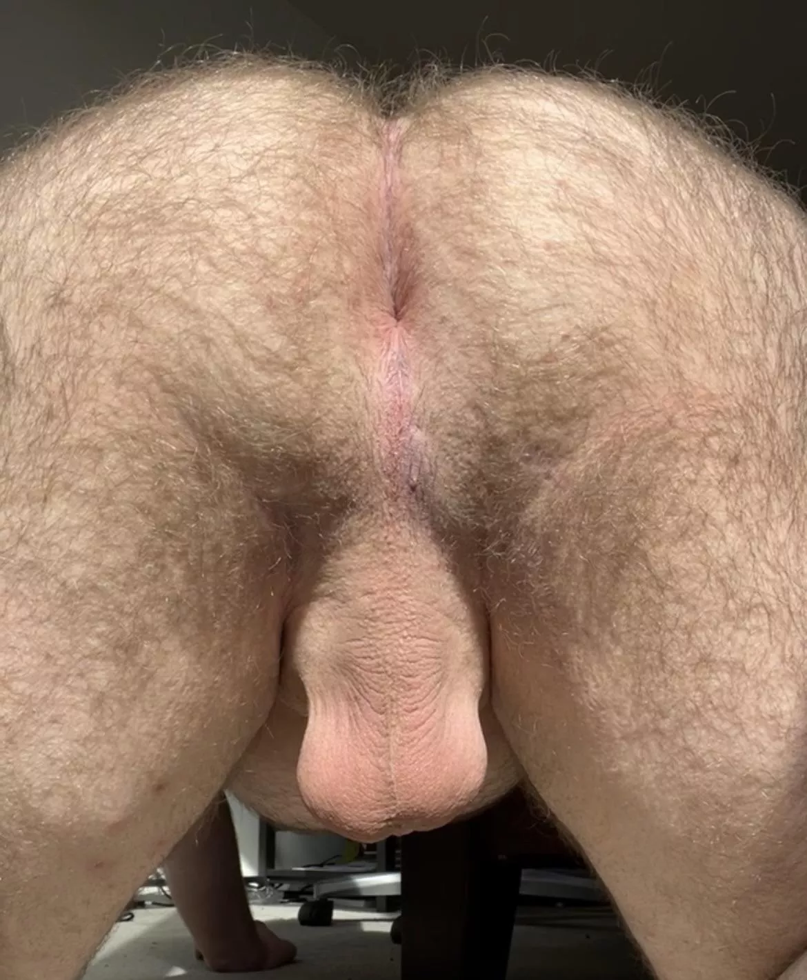 Come breed my hairy hole