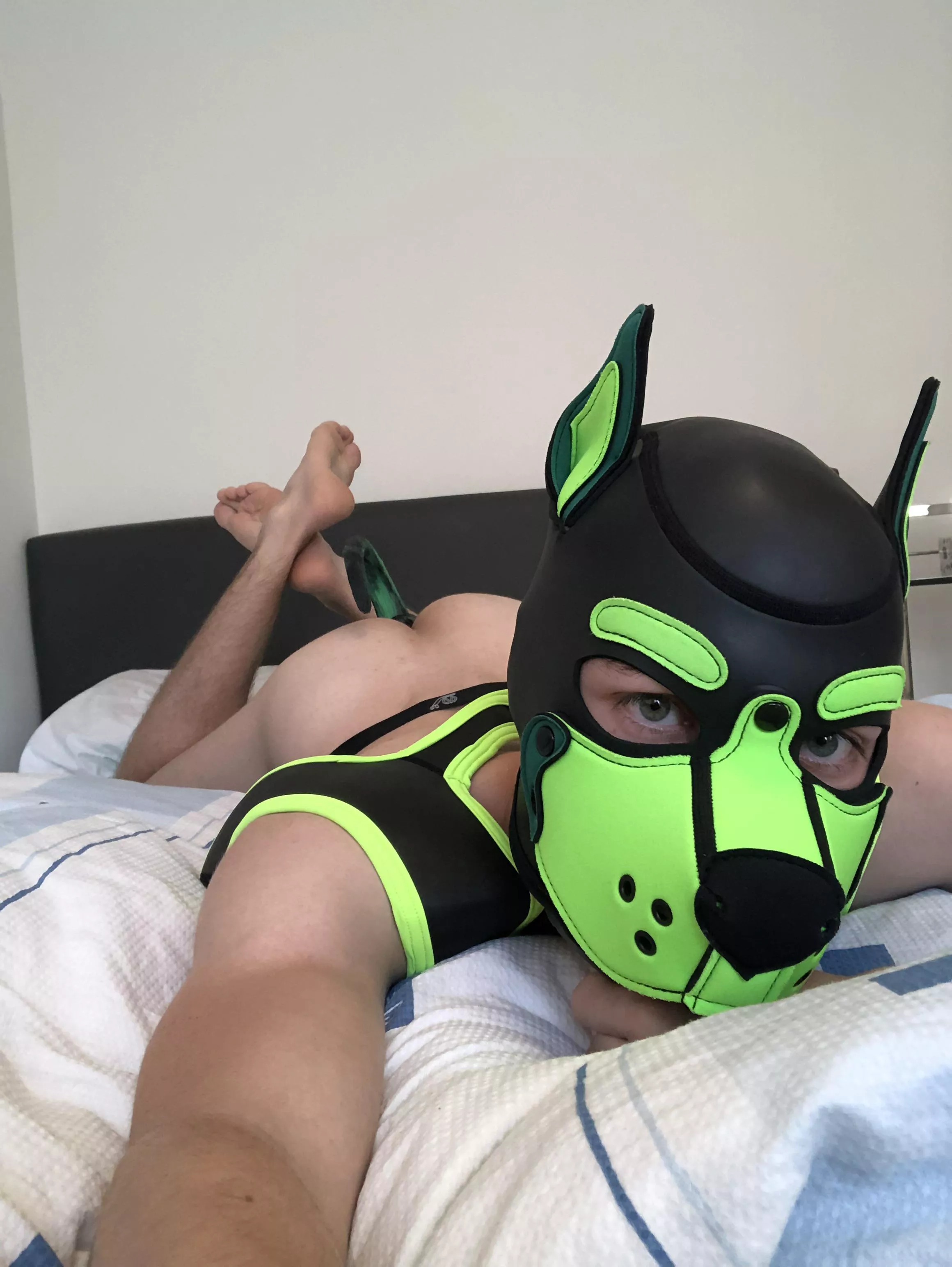 Come play with me 🐶